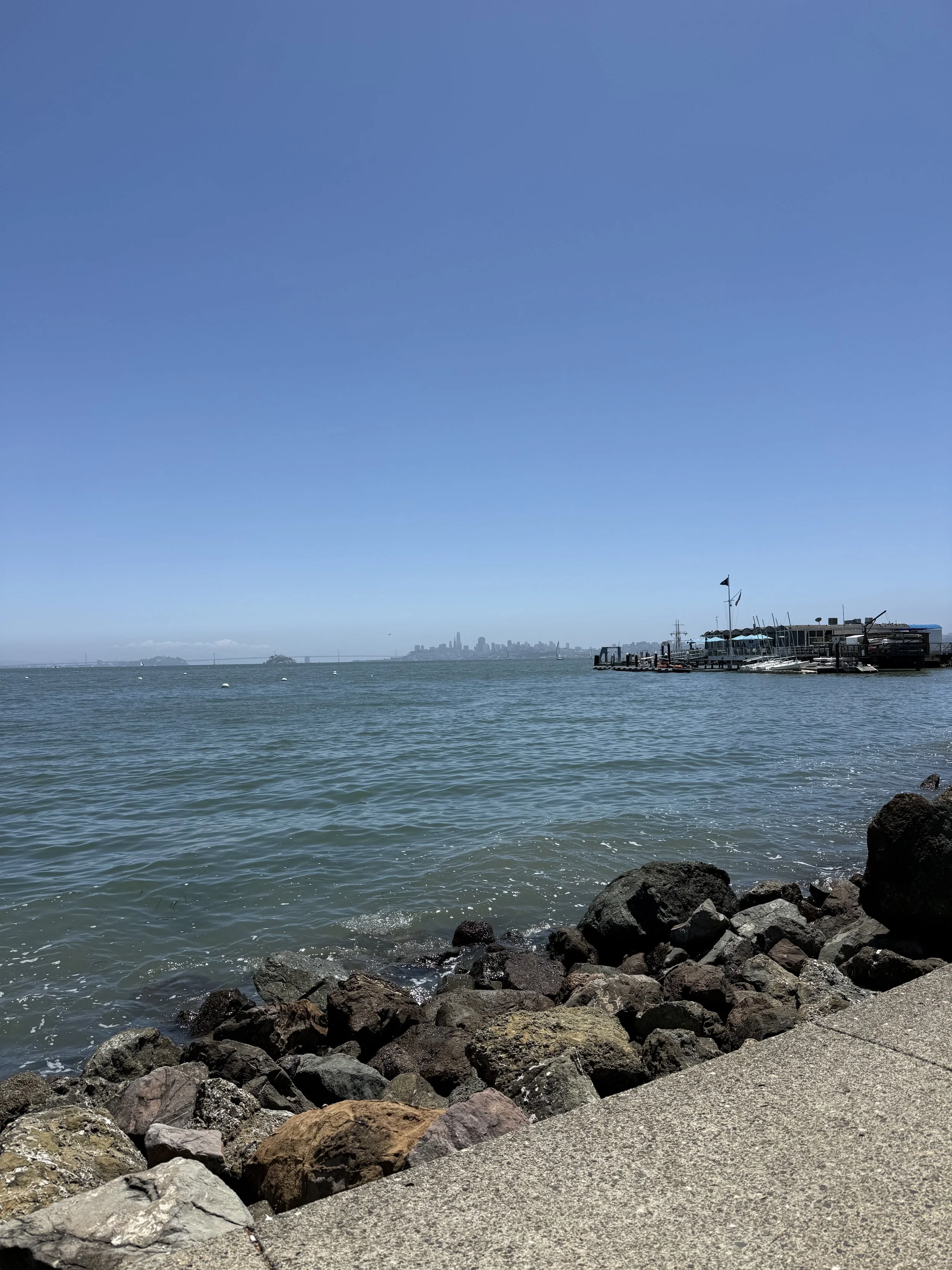 IMG_8816.jpeg