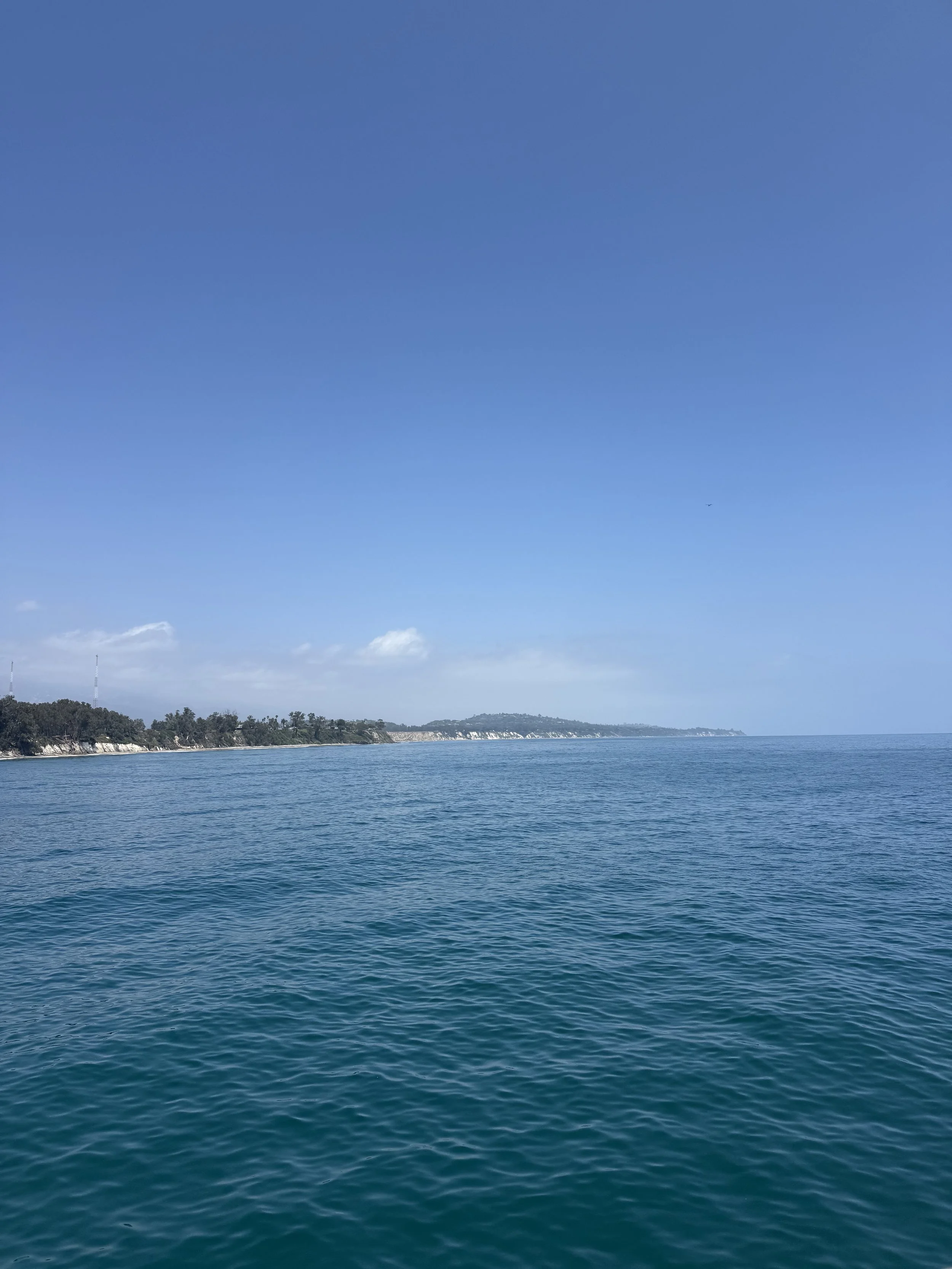 IMG_8716.jpeg