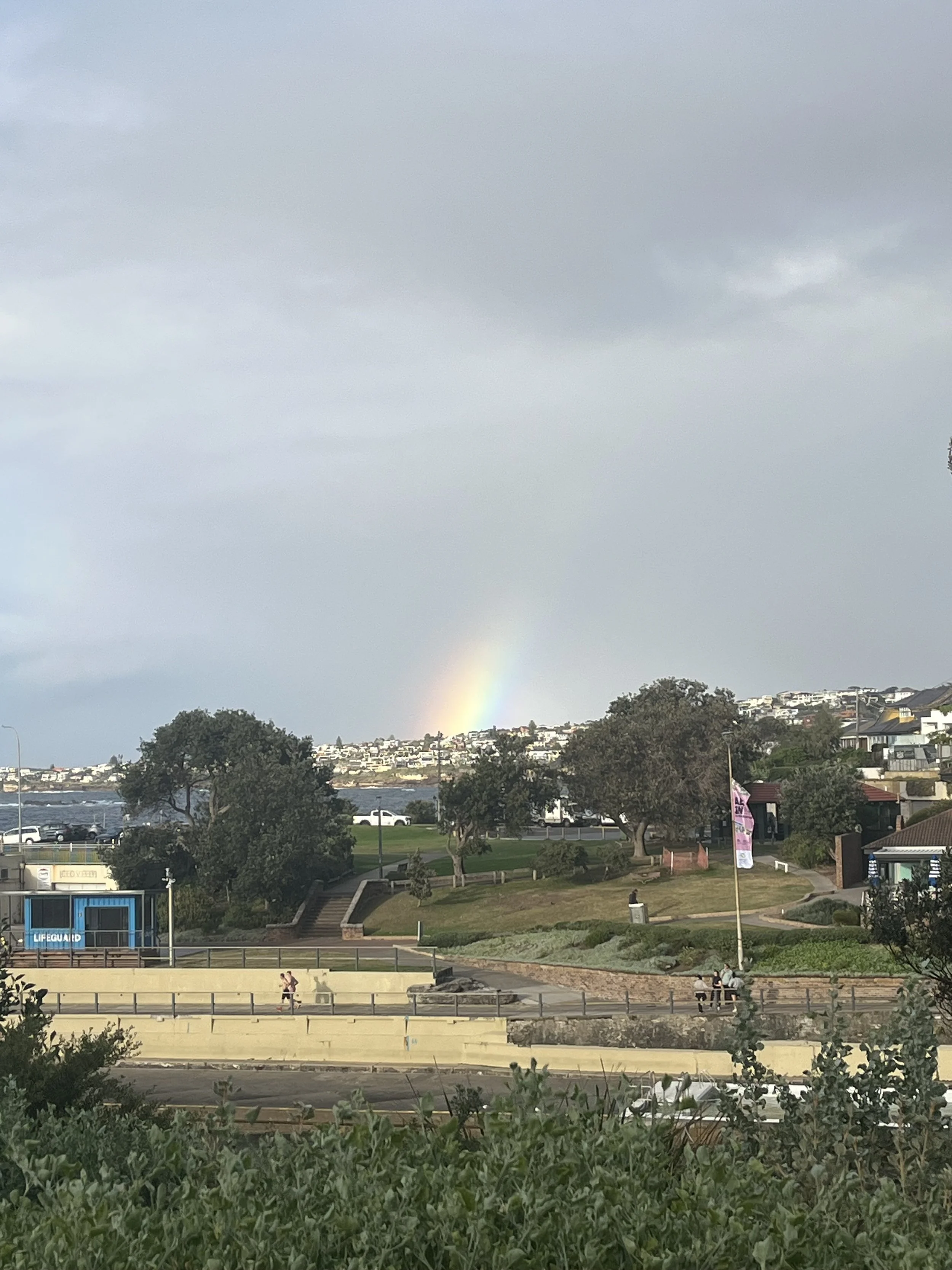 IMG_0849.jpeg