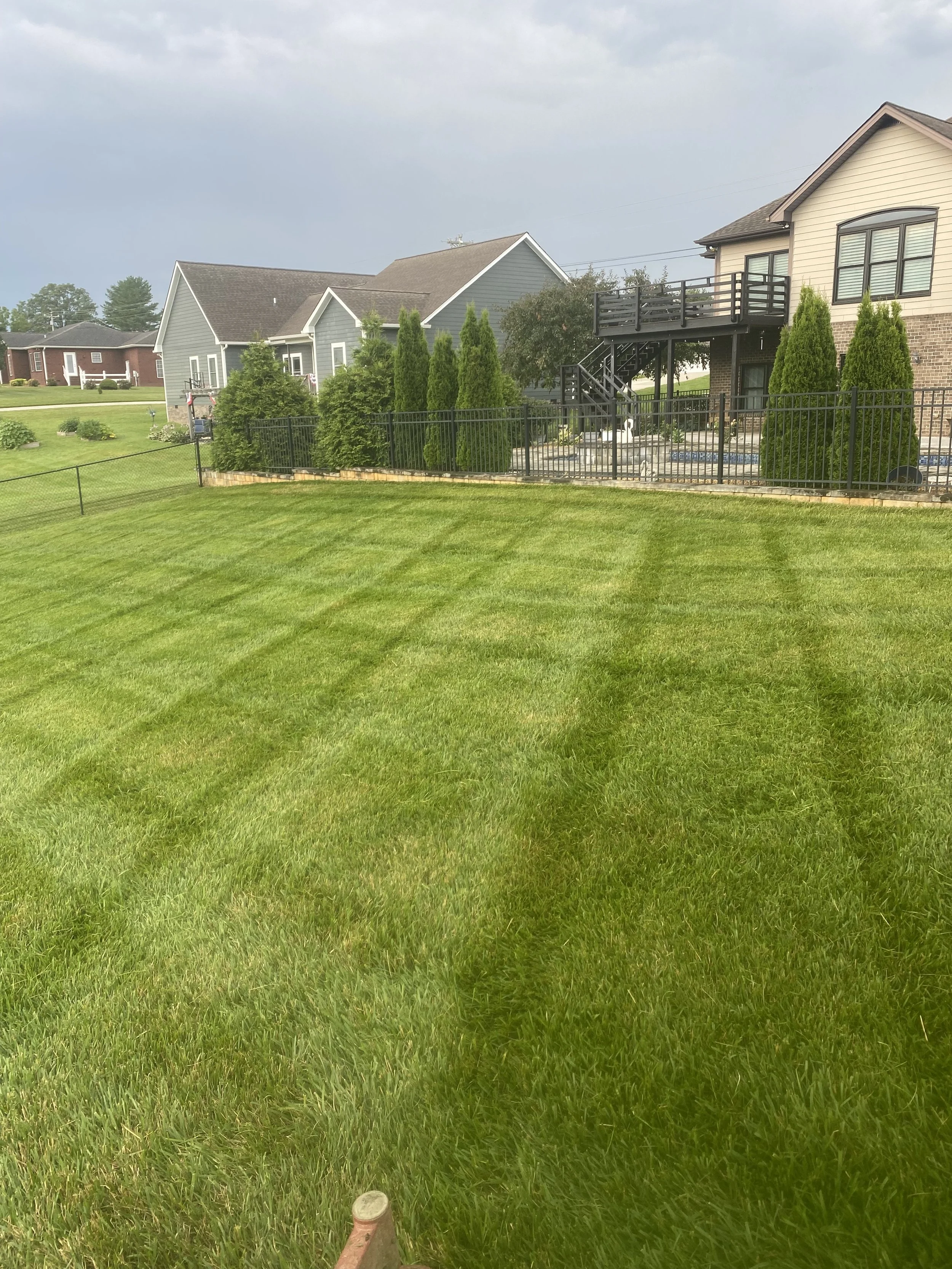 A well-maintained backyard with lush green grass, a black metal fence, and a house with a raised deck and stairs. There are evergreen trees and neighboring houses visible in the background under a cloudy sky.