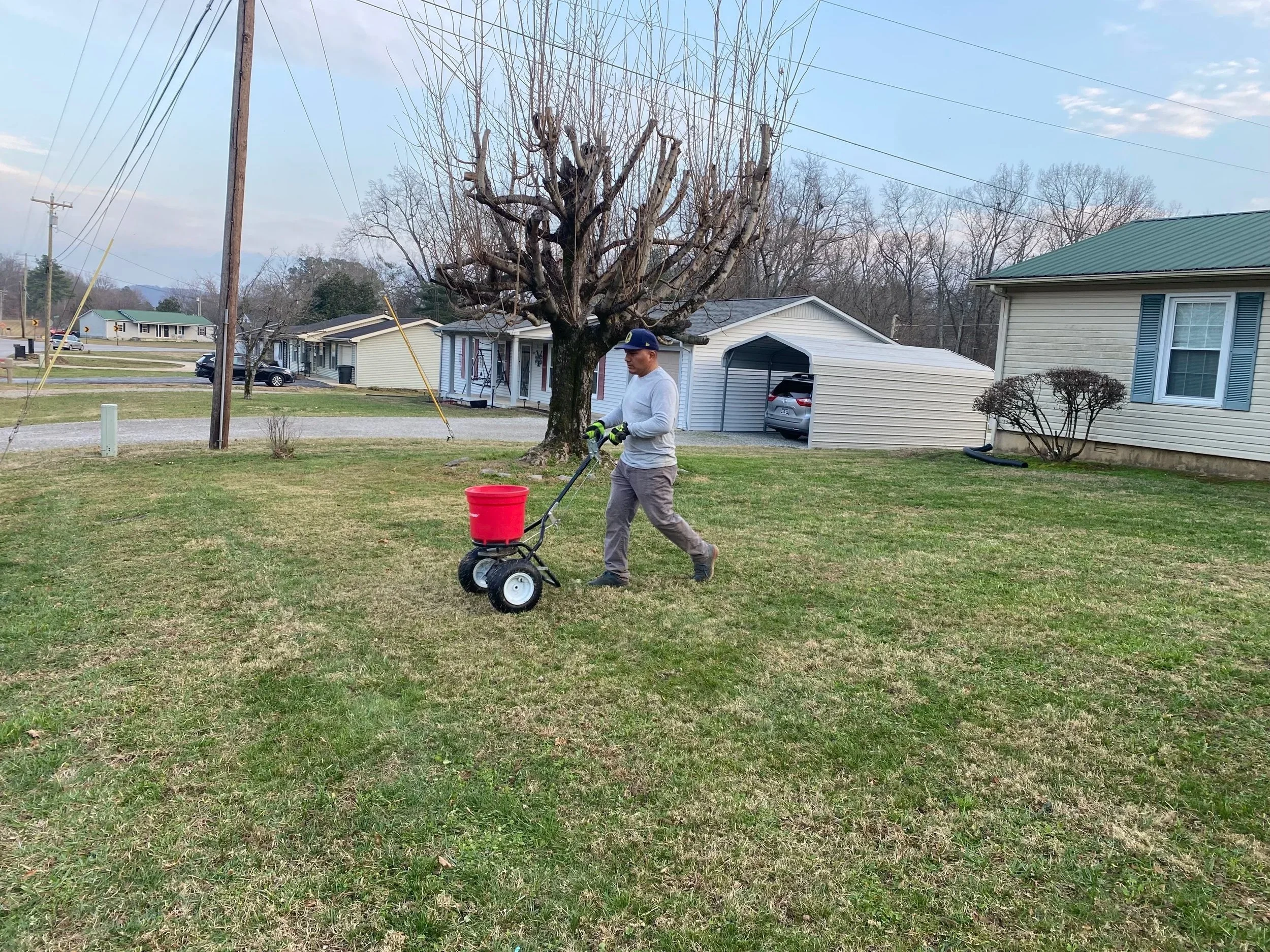 A man wearing a gray hoodie, gray pants, and gloves walks in a yard with a red bucket attached to a manual lawn spreader, near a leafless tree, with houses and power lines in the background on a cloudy day.
