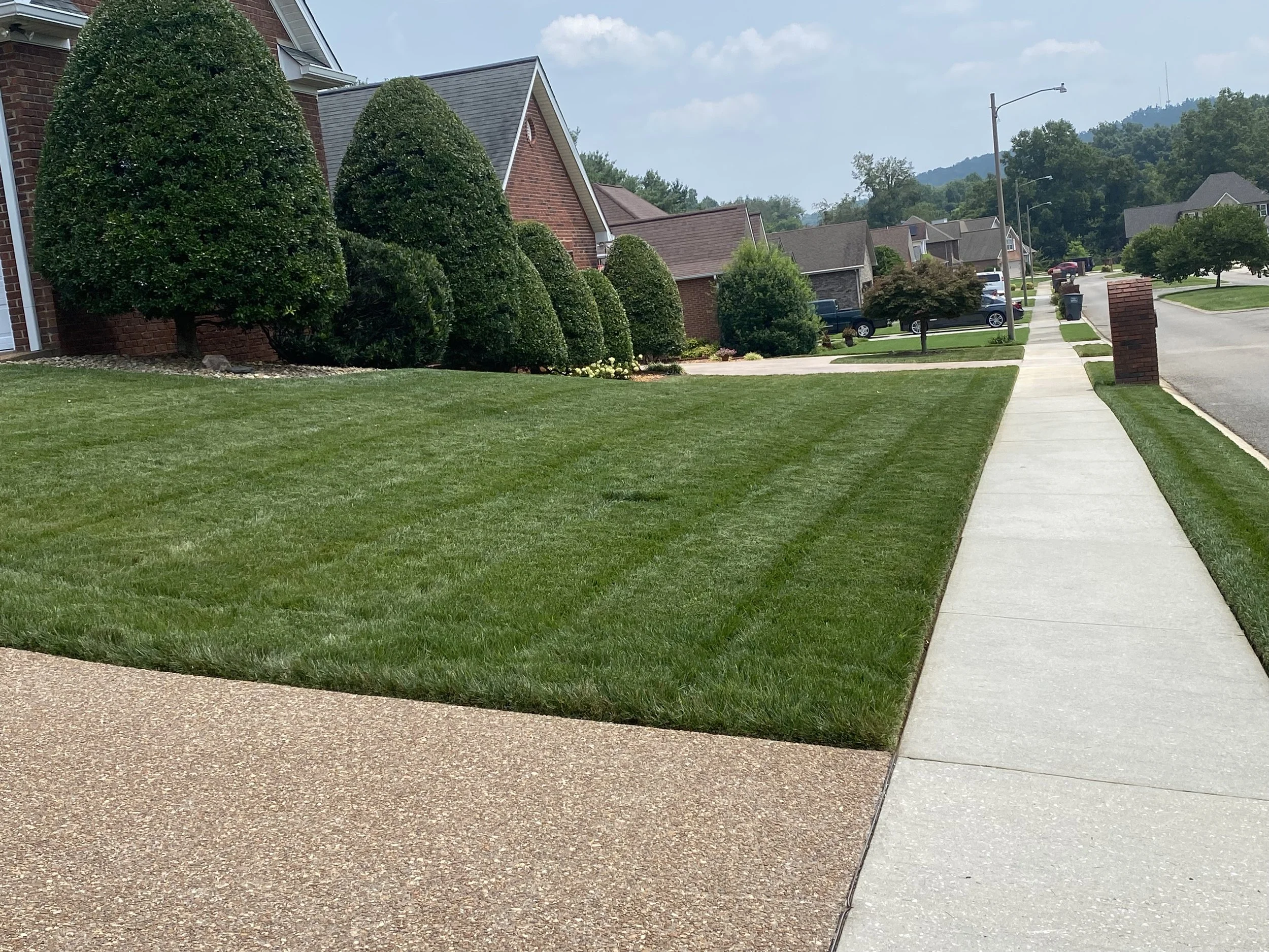 A suburban neighborhood street view with well-maintained grass lawns, trimmed bushes, brick houses, sidewalk, and parked cars under a partly cloudy sky.