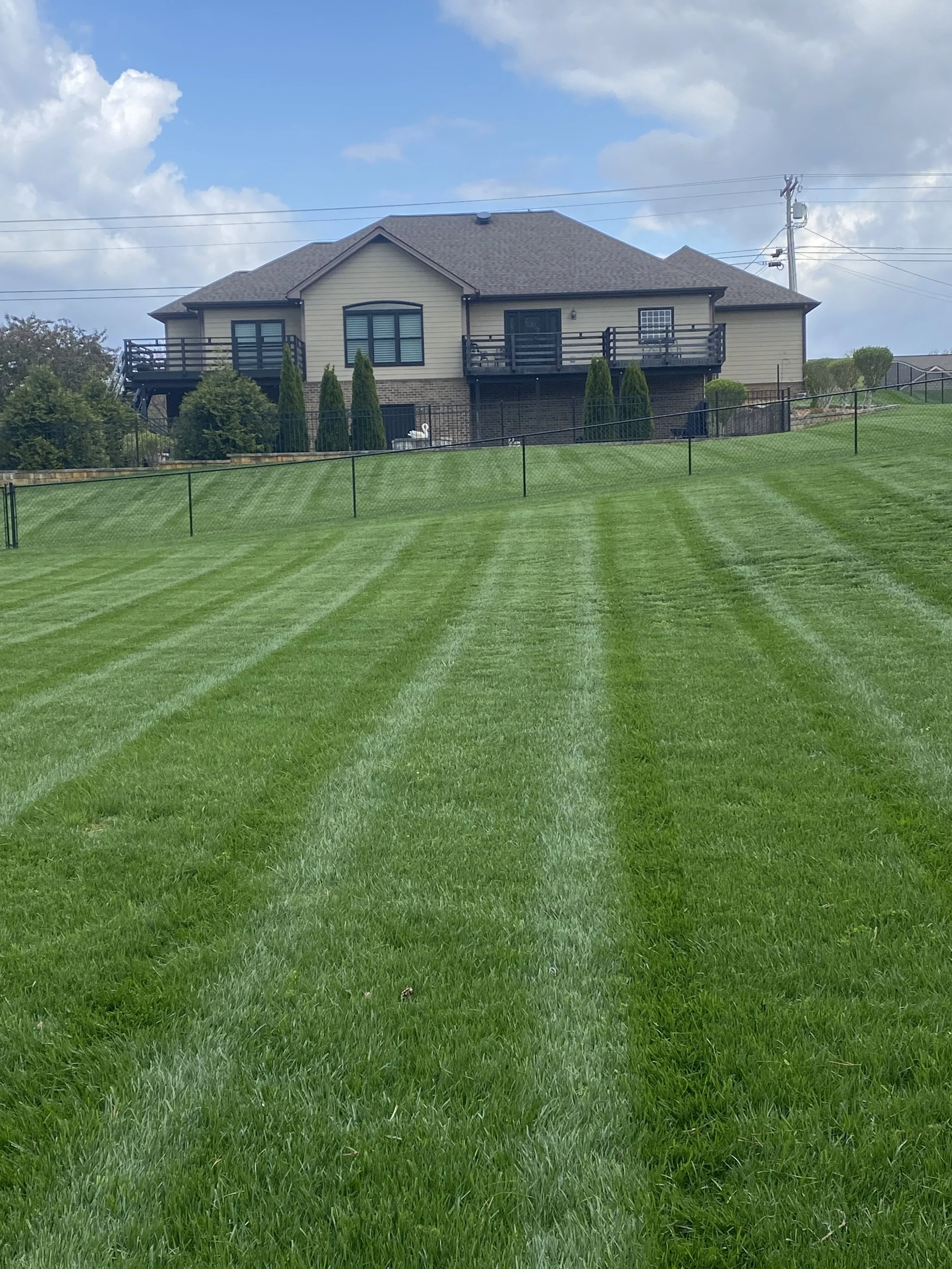 A grassy backyard lawn with mowed stripes, a house with a deck in the background, and a partly cloudy sky.