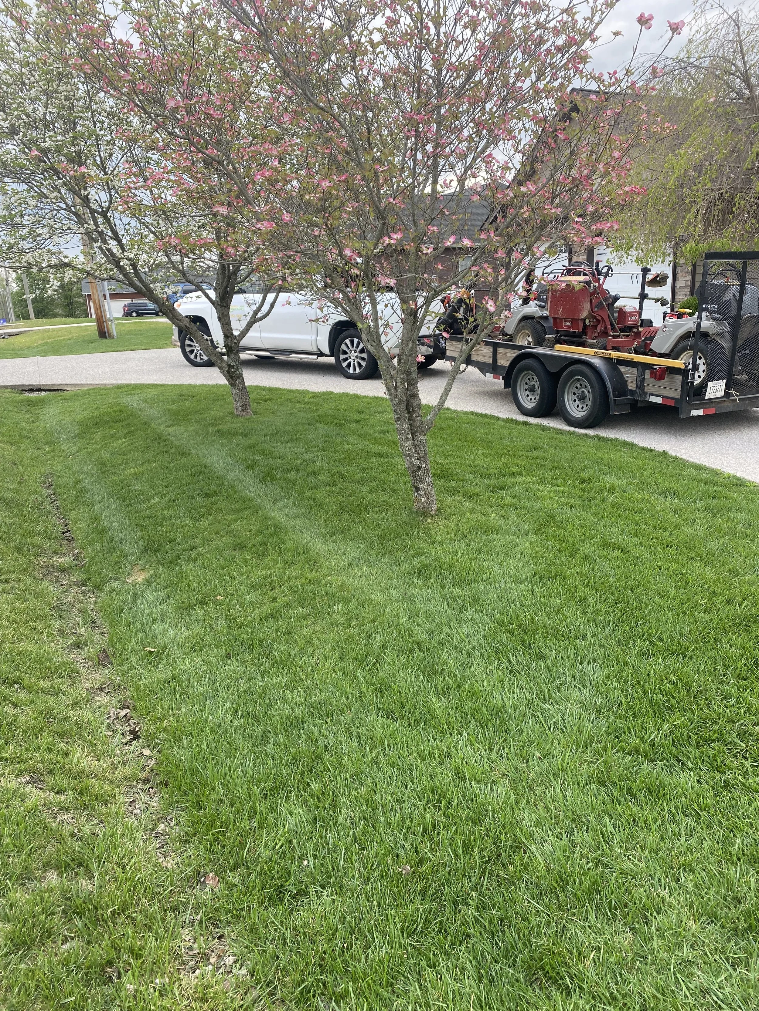 A residential yard with two pink flowering trees on a well-maintained lawn, a white pickup truck parked on the driveway, and a trailer carrying equipment including a red machine and a black container, with a house and trees in the background.
