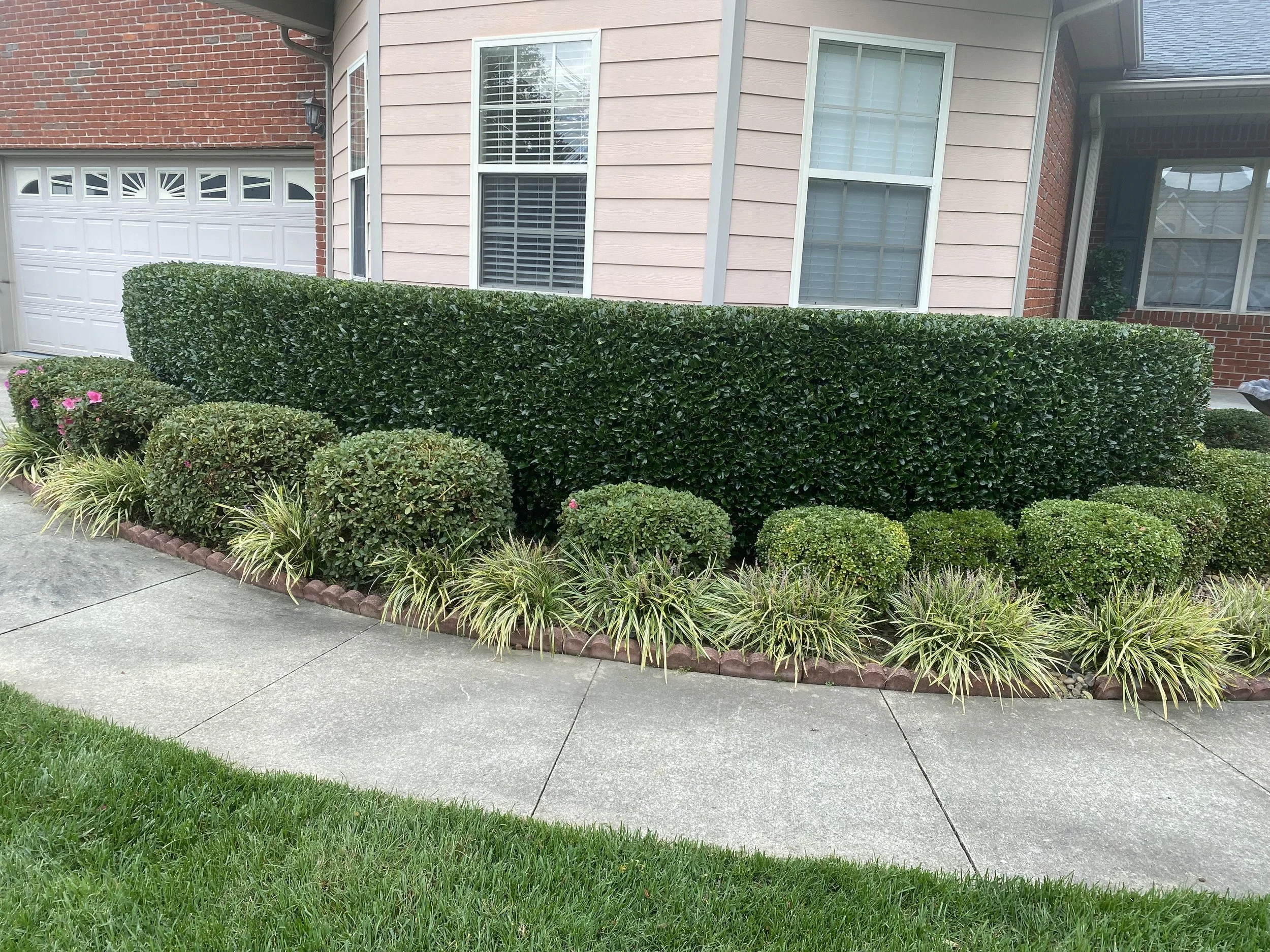 A well-maintained garden bed with trimmed green bushes and ornamental plants in front of a house with beige siding and large windows.