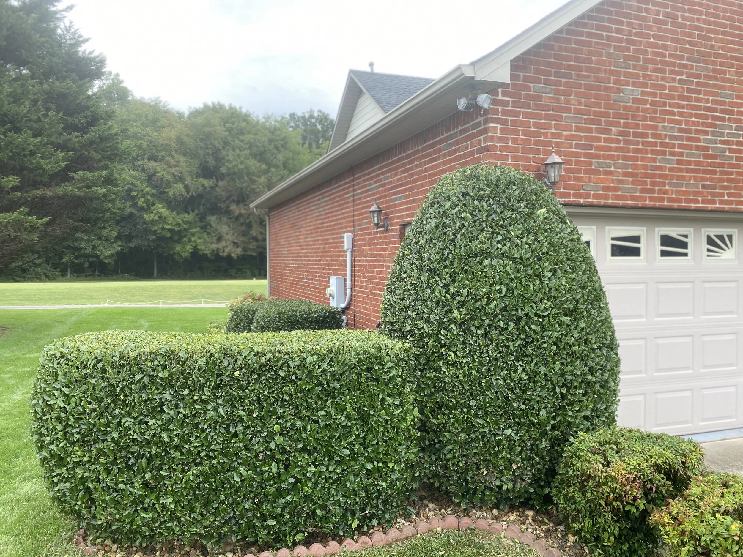 A neatly manicured front yard with green bushes of various shapes and sizes next to a brick house with a gray garage door.