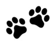 Paw Prints.jpg