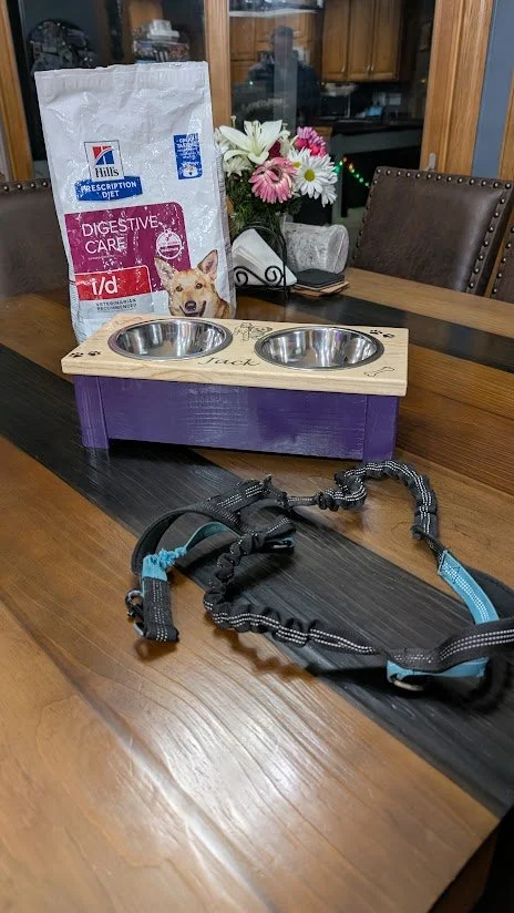 Double Bowl Pet Dish