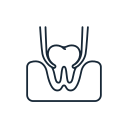 Close-up of a dental model showing teeth and gums.