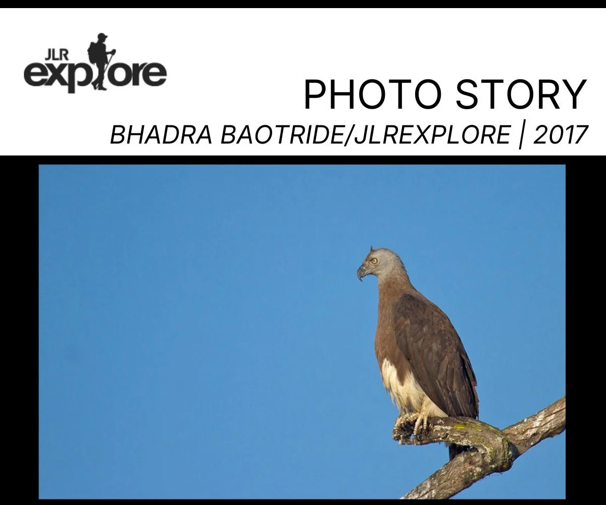 Copy of jlr explore slime mold.jpg