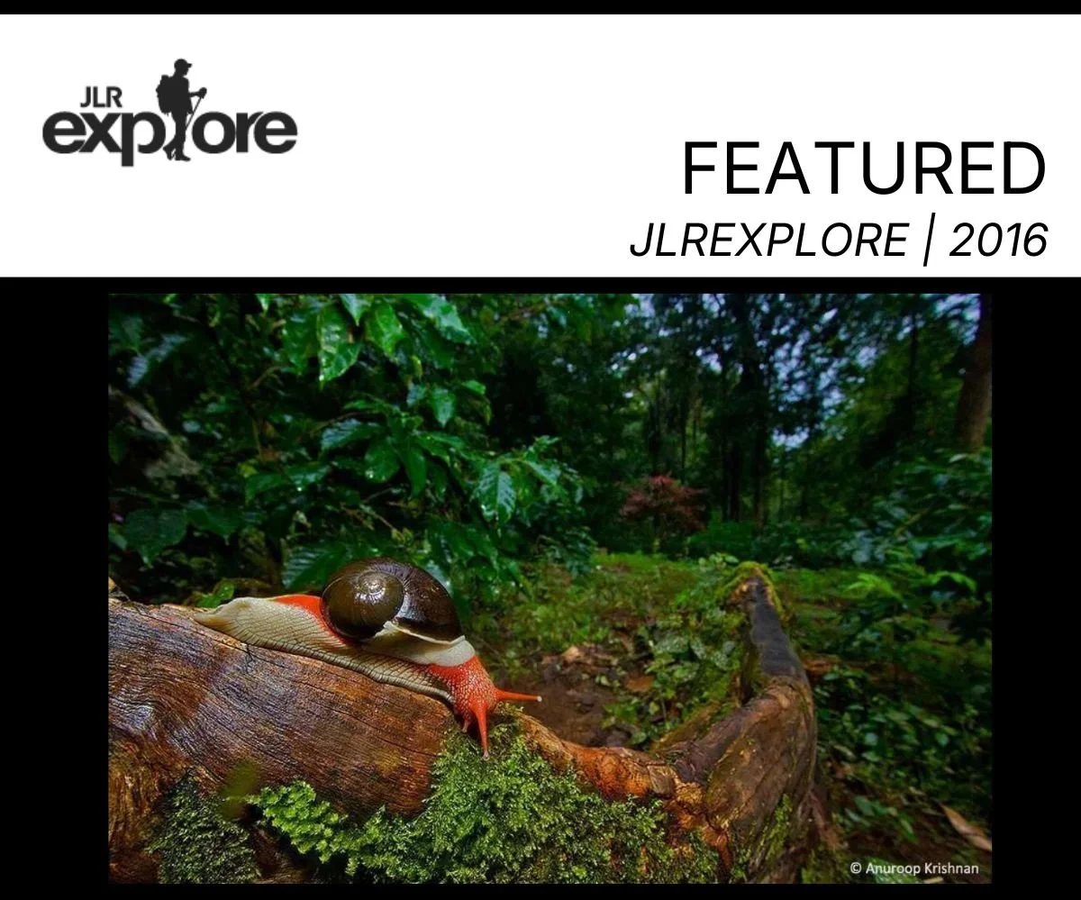 jlr explore slime mold (1).jpg