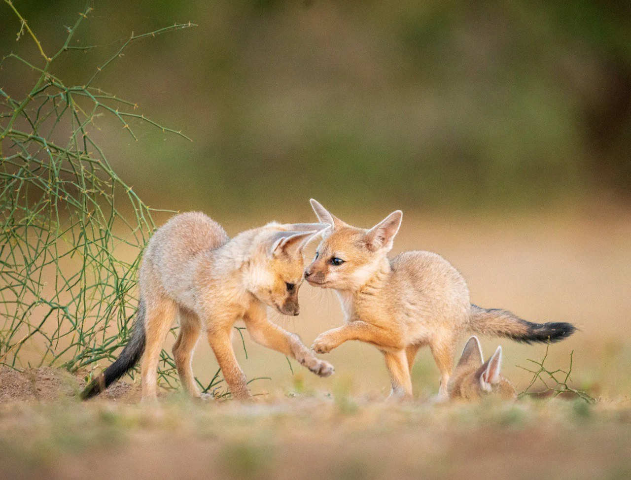 photo_2026-03-16 16.16.17.jpeg