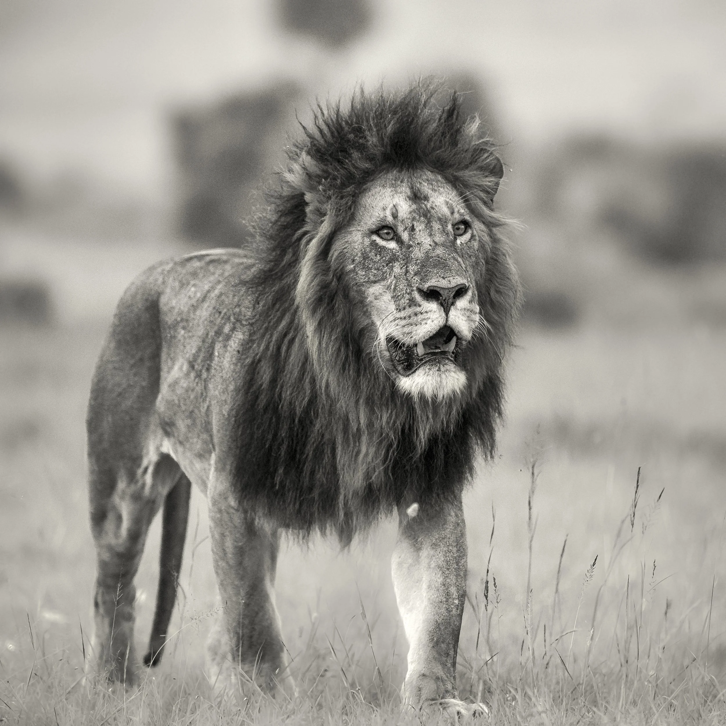 BL5A9154 7.52.26 PM-Edit.jpg