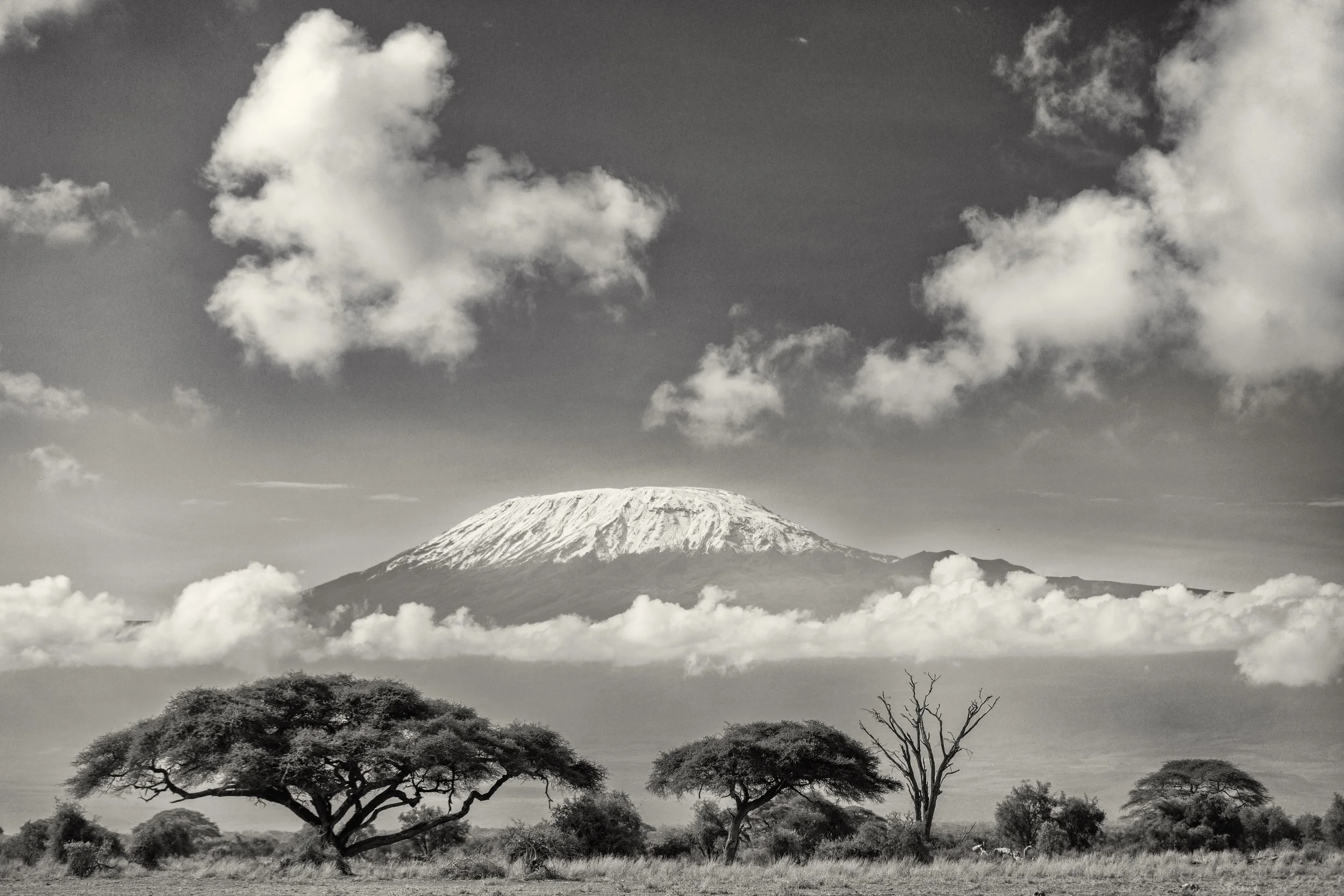 Amboseli view of Kilimajaro
