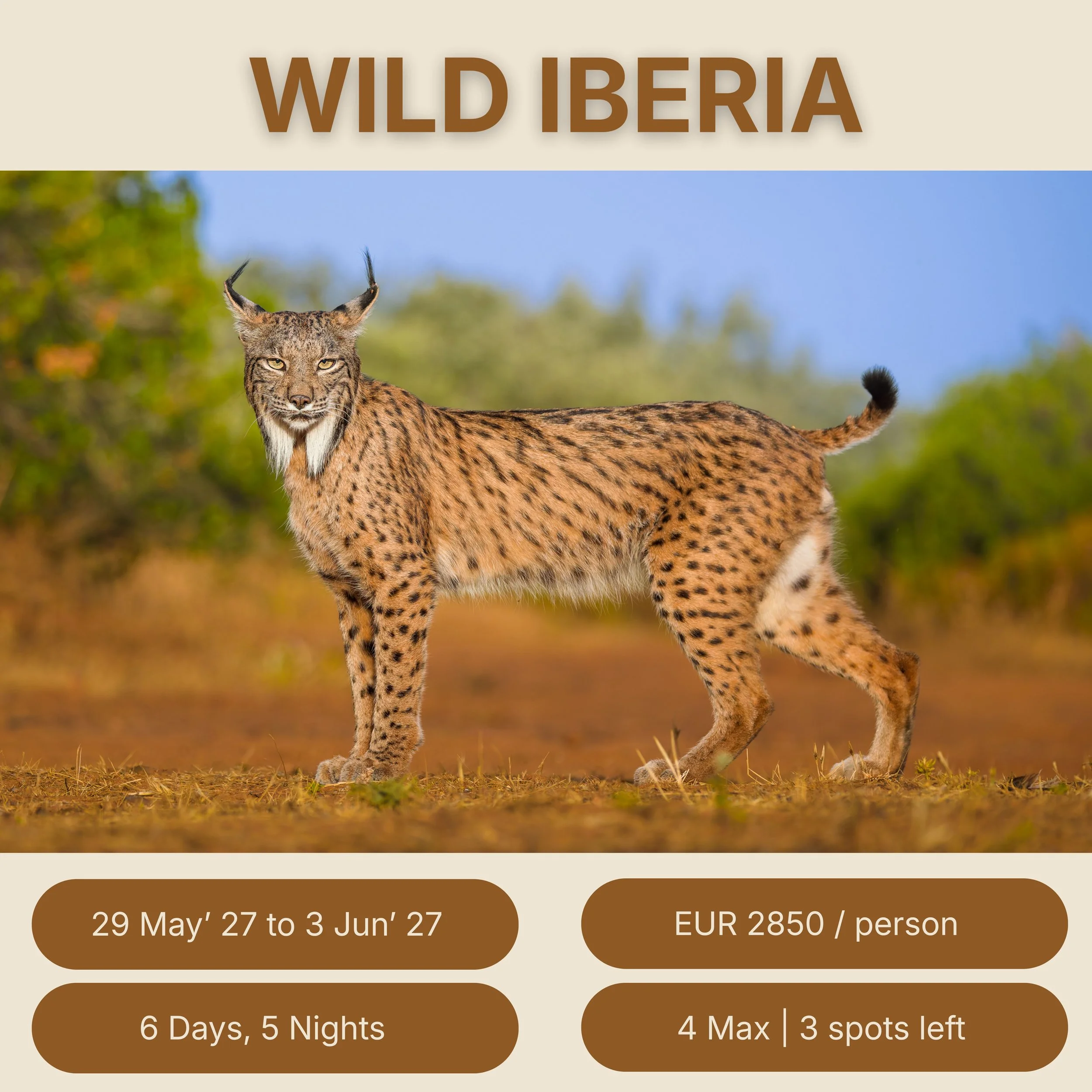 Wild Iberia