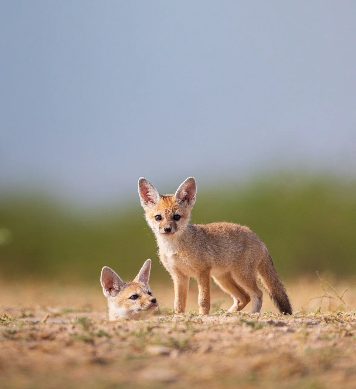 photo_2026-03-16 16.16.13.jpeg