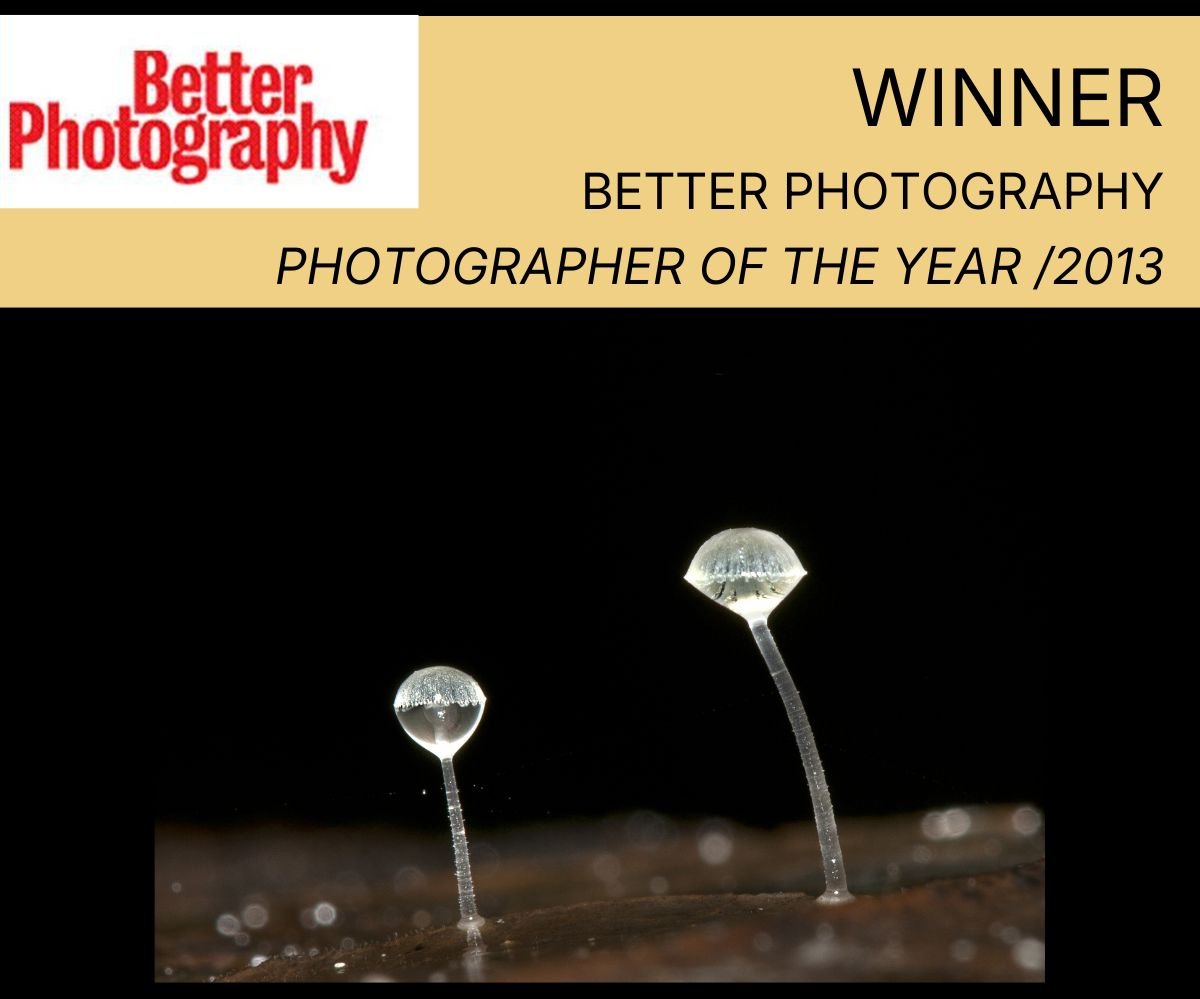 better photography (3).jpg