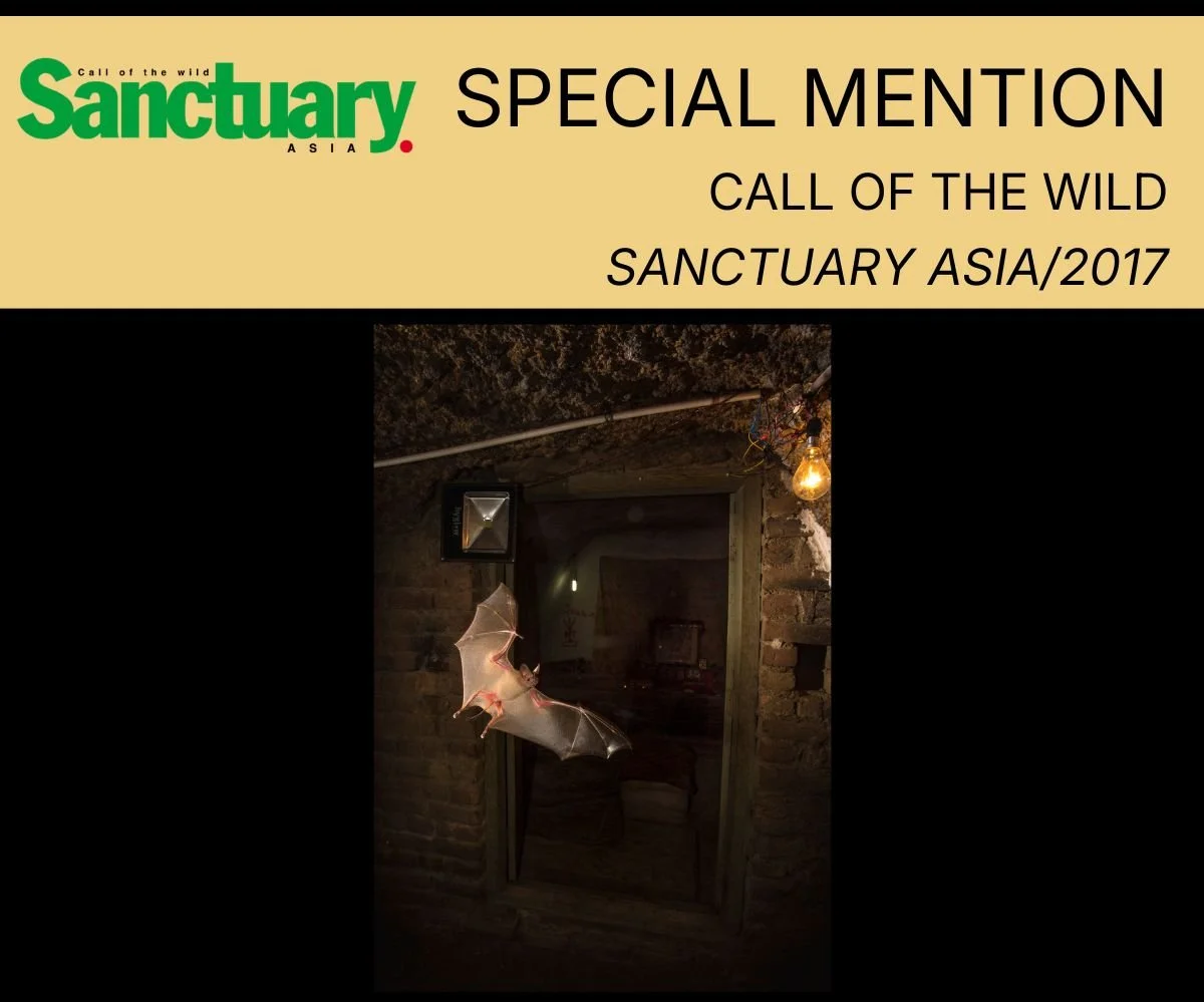 tadoba inheritance new (3).jpg