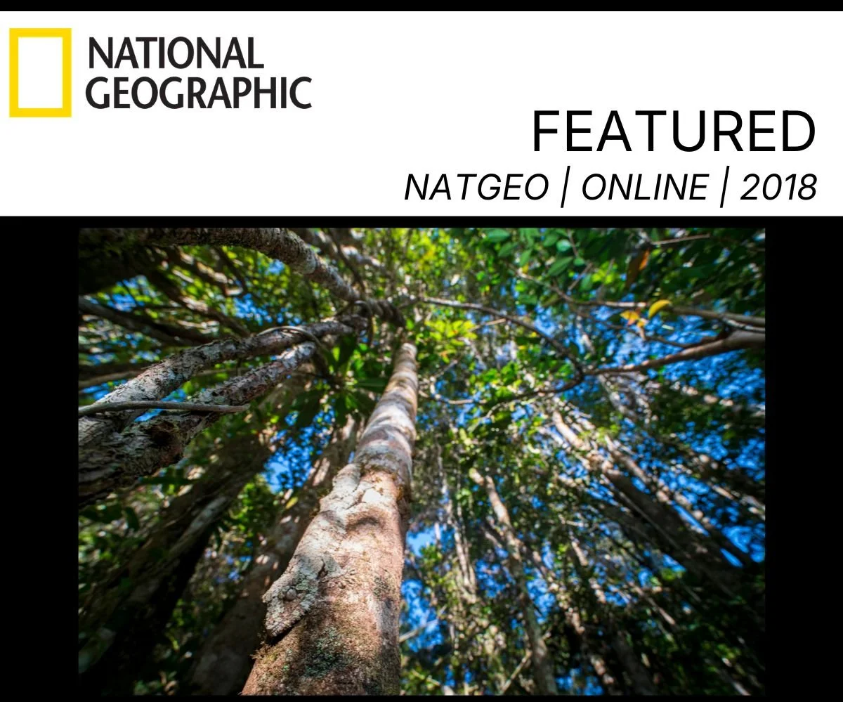 mossy Nato Geo Photo Feature.jpg