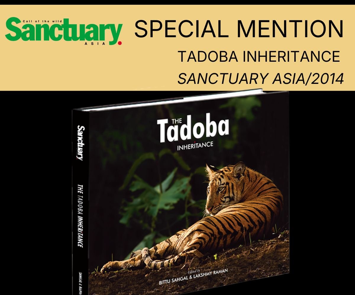 tadoba inheritance new (2).jpg