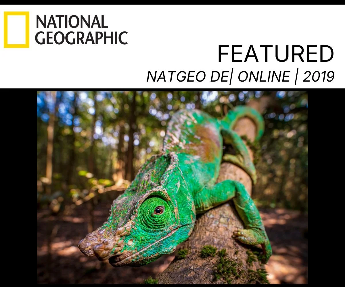 Copy of fan throat Nato Geo Photo Feature.jpg