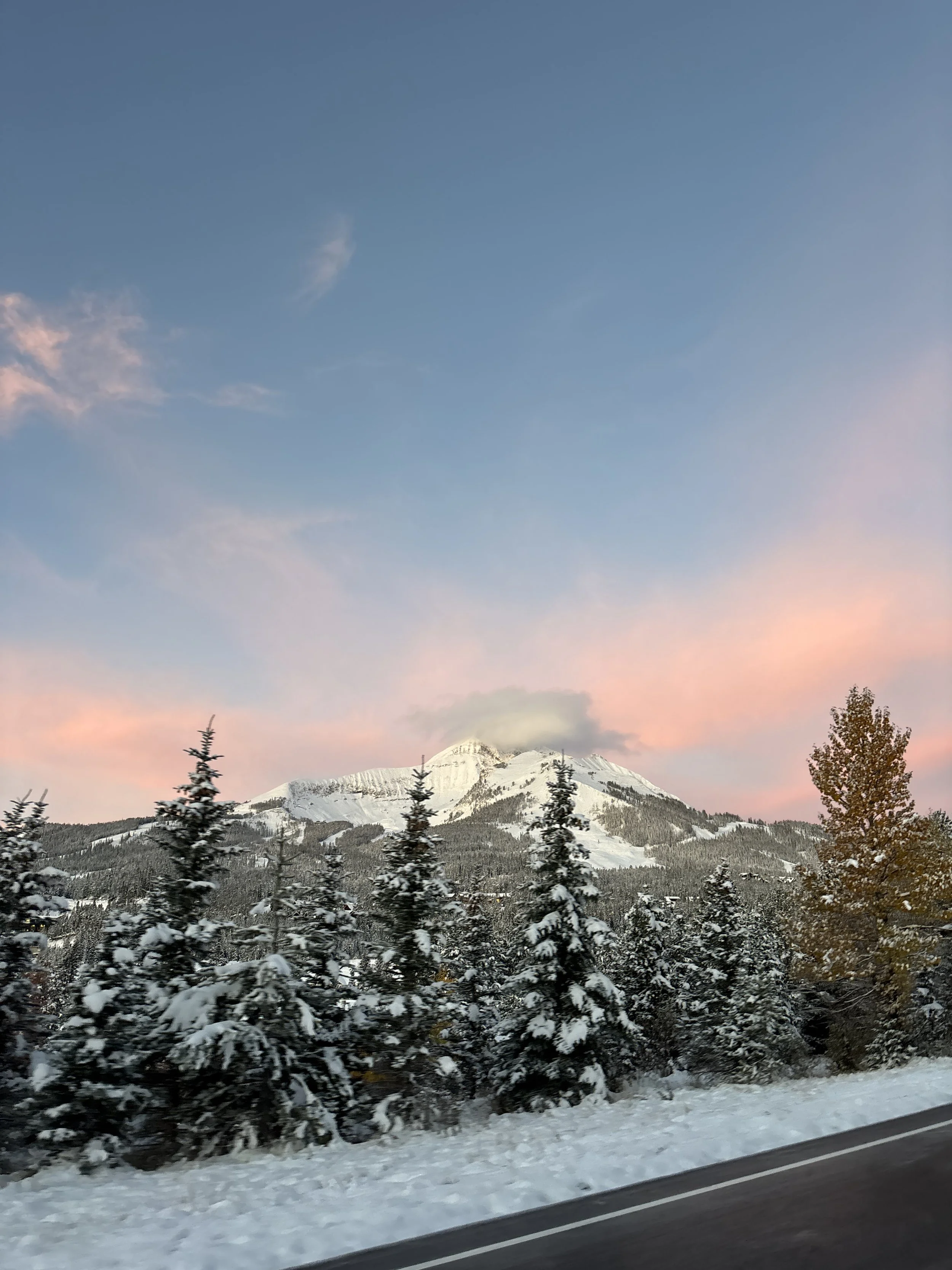 Snow-covered trees in front of a snow-capped mountain under a pink and blue sky during sunset.