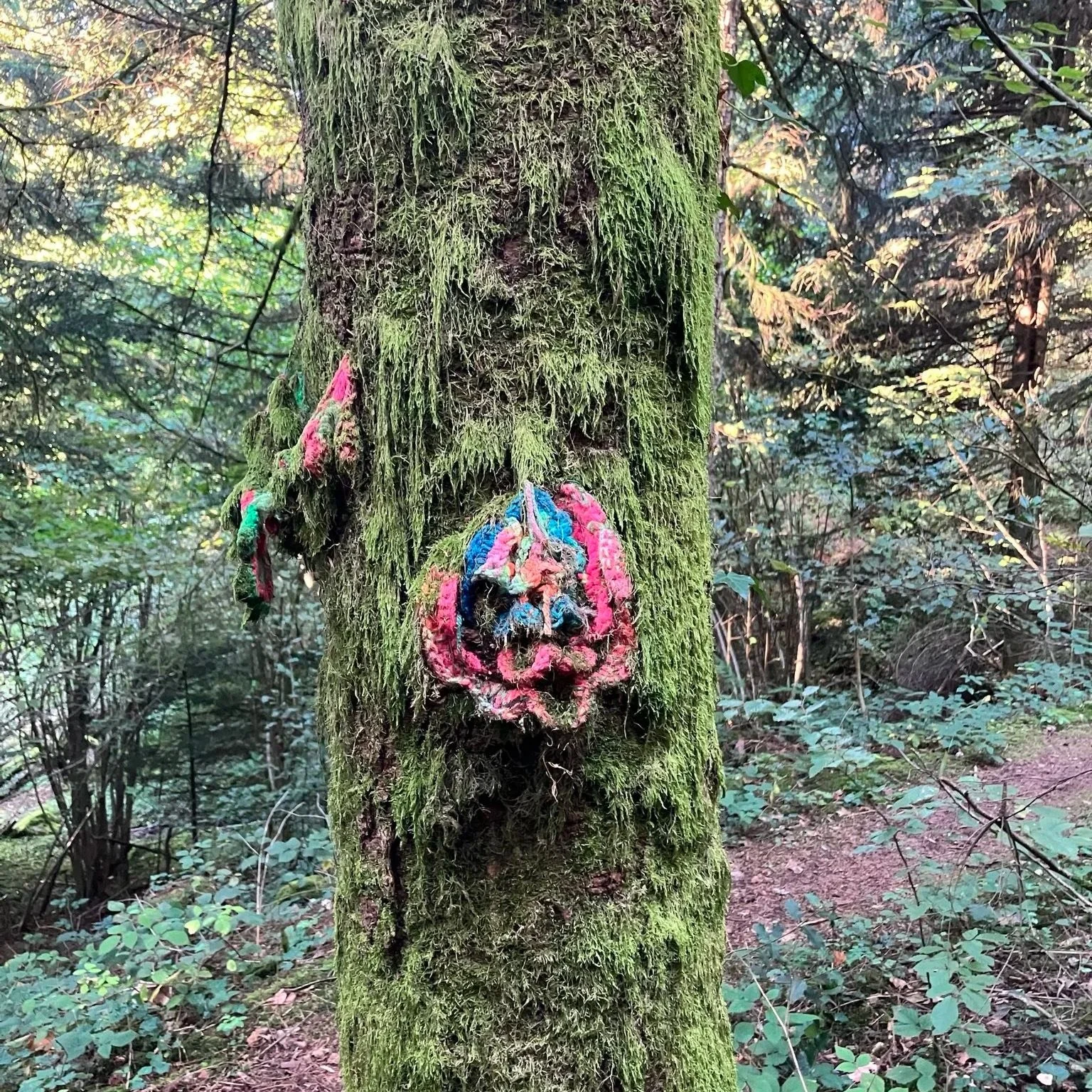 astrologer ian waisler