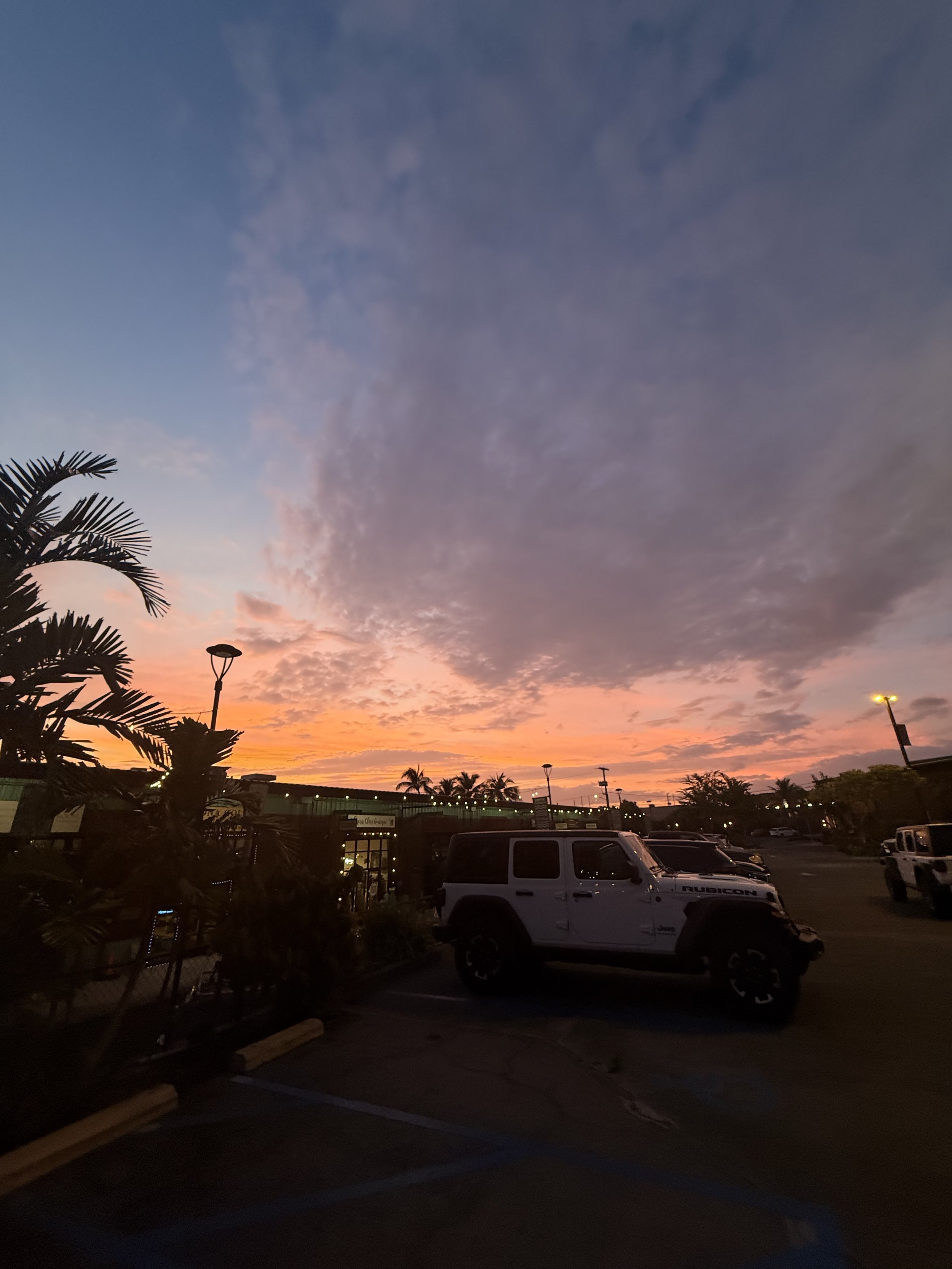 Sky at sunset with colorful clouds, palm trees, and parked cars in a shopping center parking lot.