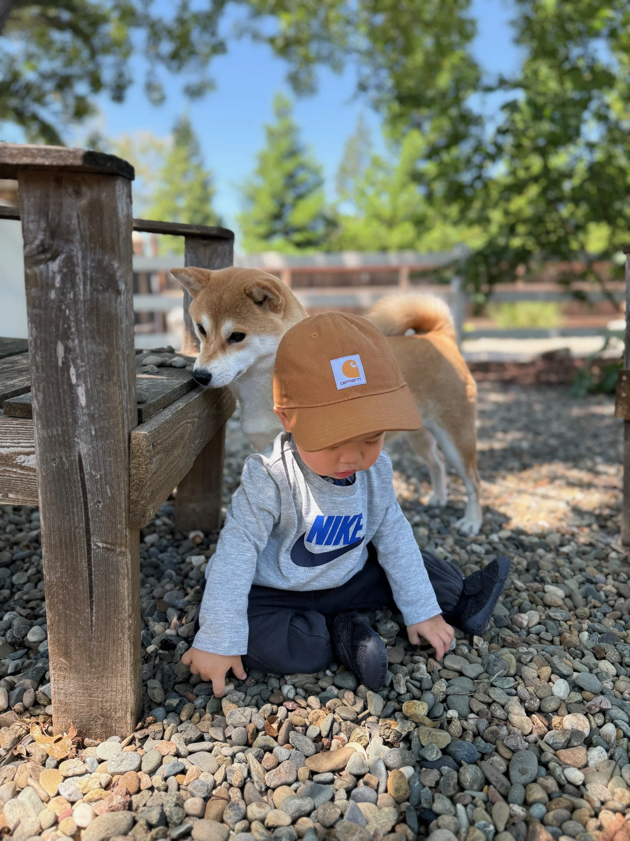 Aiko and our toddler.