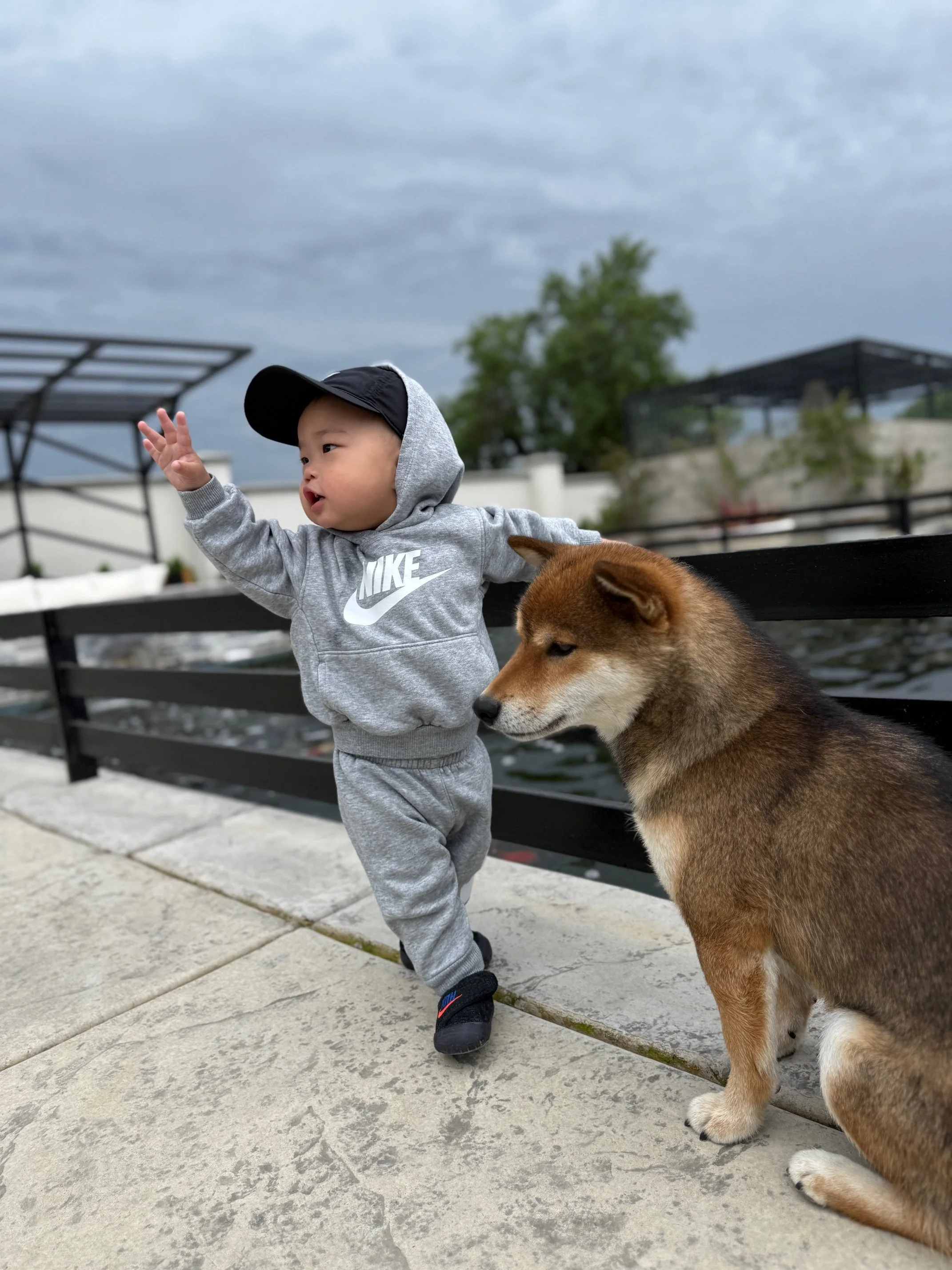Zenki hanging out with our toddler!