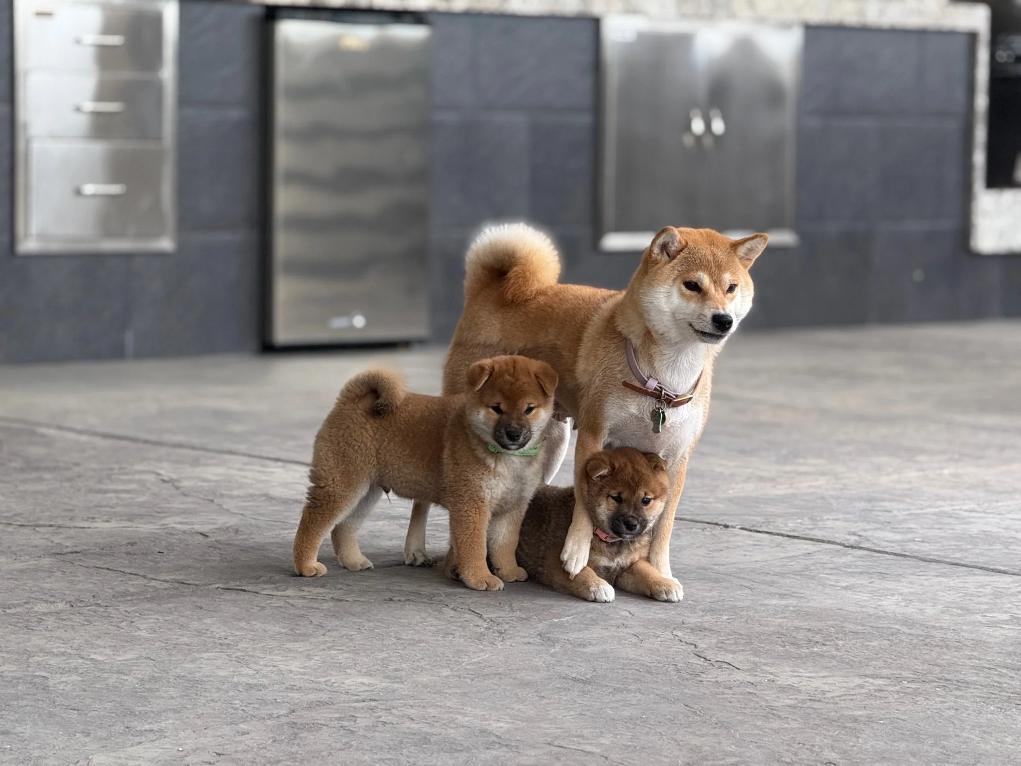 Aiko with her two kiddos: Enzo and Kaiya.
