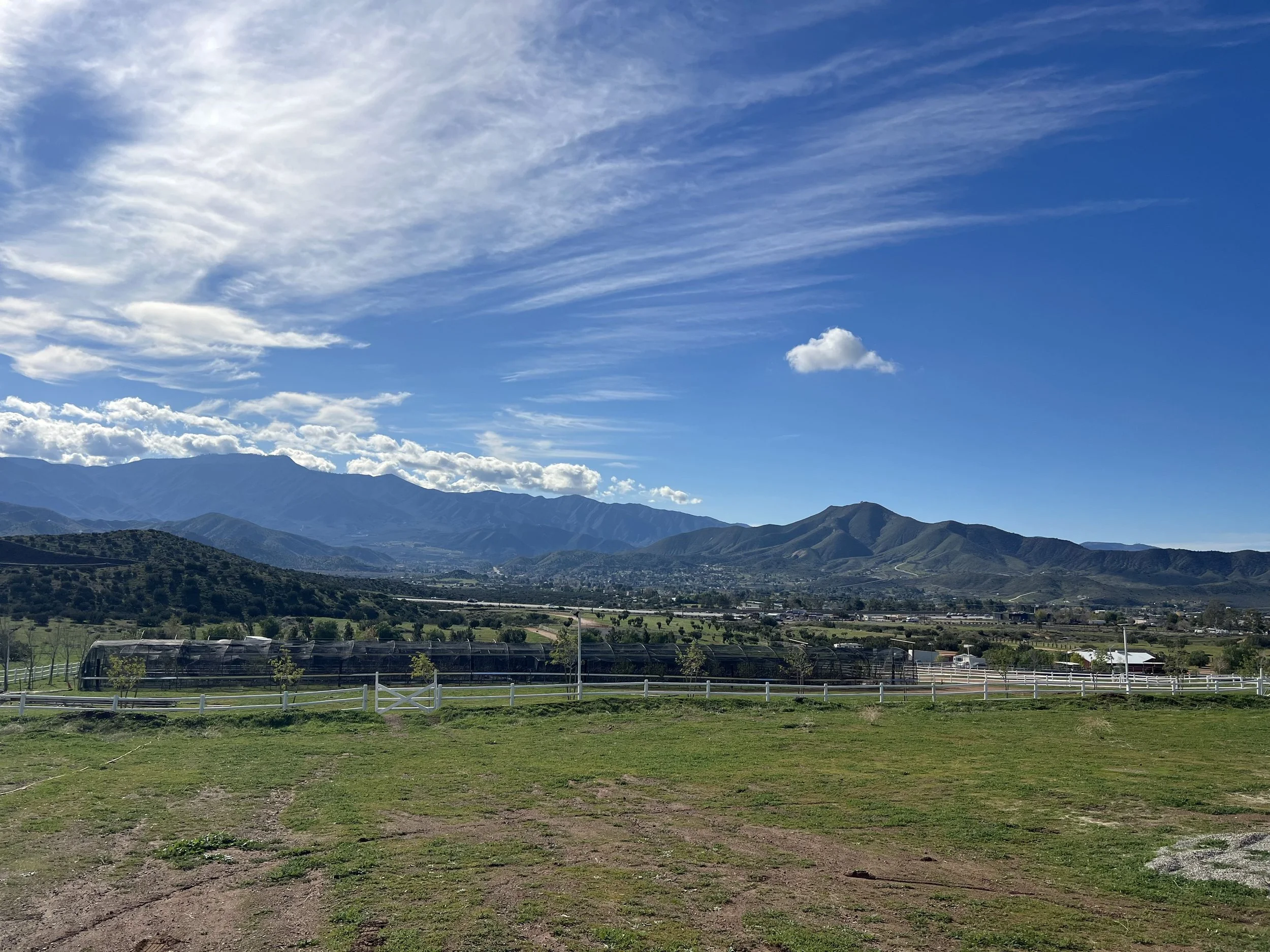 A scenic landscape with green grass in the foreground, a white fence, rolling hills, and mountains in the background under a blue sky with wispy clouds.
