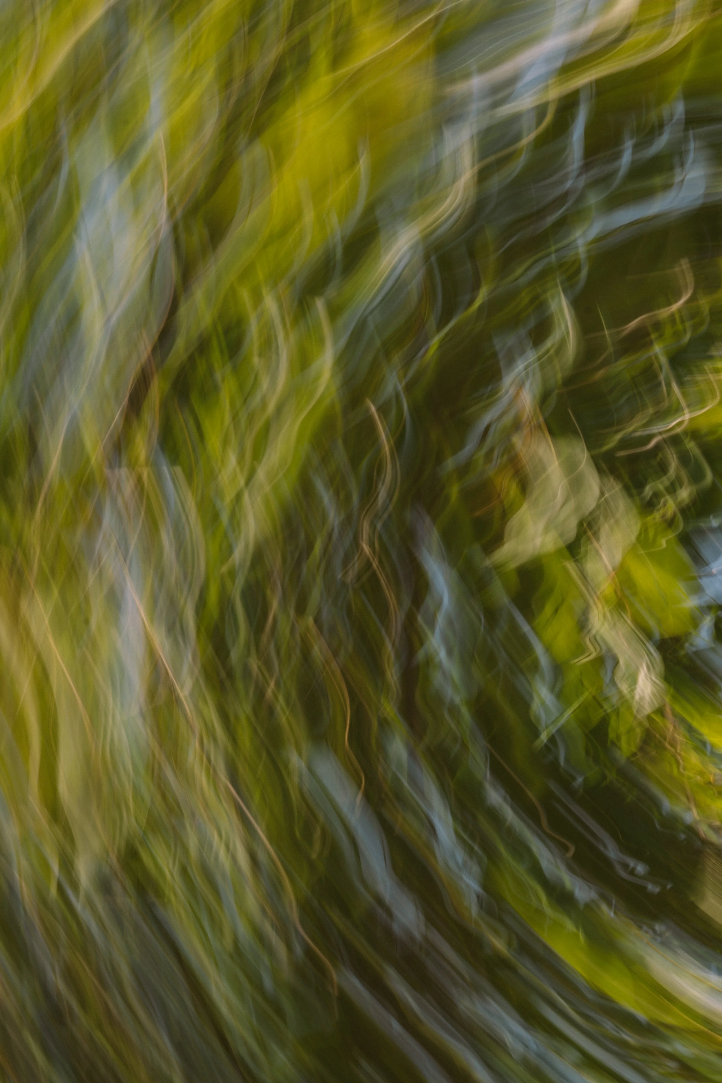 Blurry close-up of green and brown grass or leaves with a spinning or motion effect