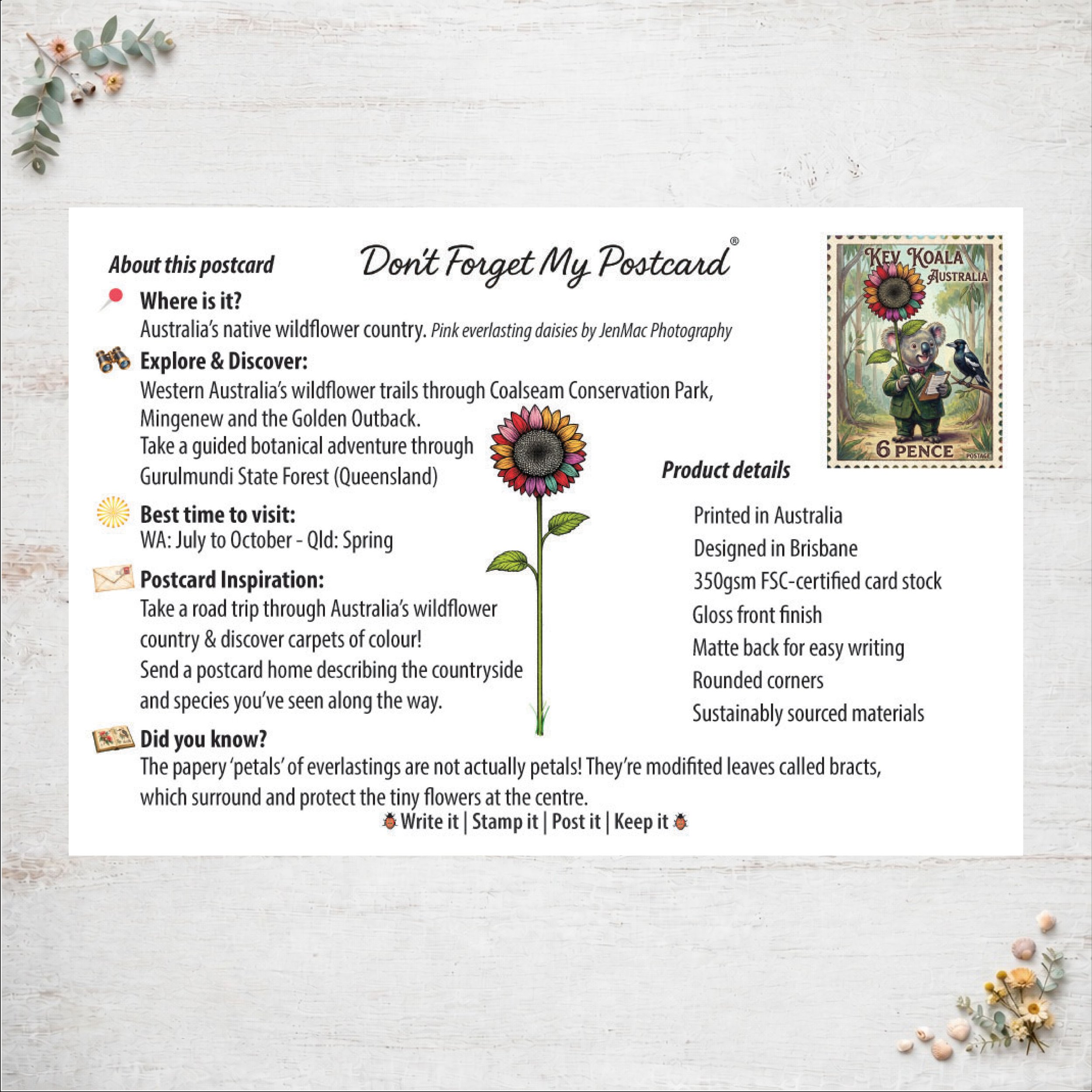 (PC-029) TIA JenMac ELasting Bee Slide 3.jpg
