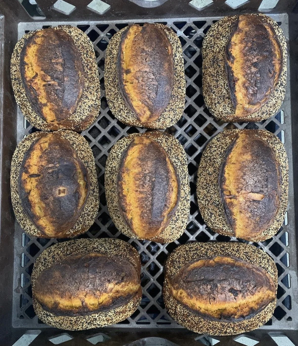 Sesame Gochujang Sourdough Loaf