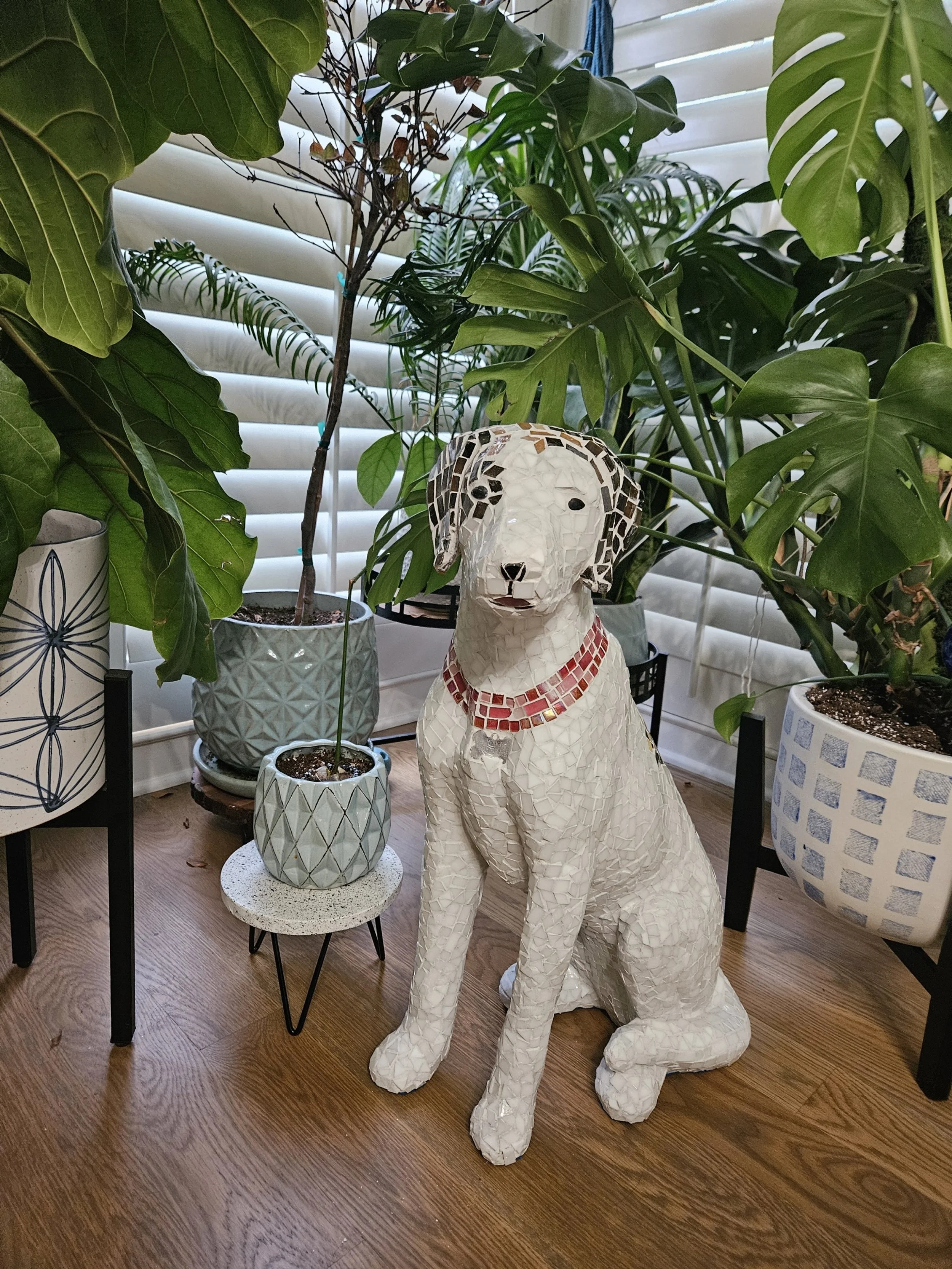 Decorative mosaic dog sculpture surrounded by various potted plants on wooden floor with white blinds in background.