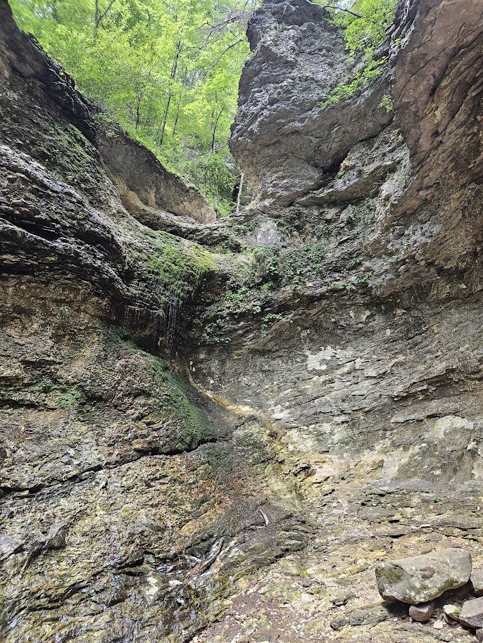 A narrow rocky canyon with steep walls, some green moss and small plants growing on the rocks, and trees at the top with bright green leaves.