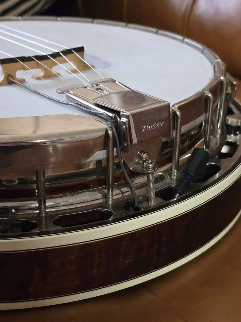 Close-up of a banjo.