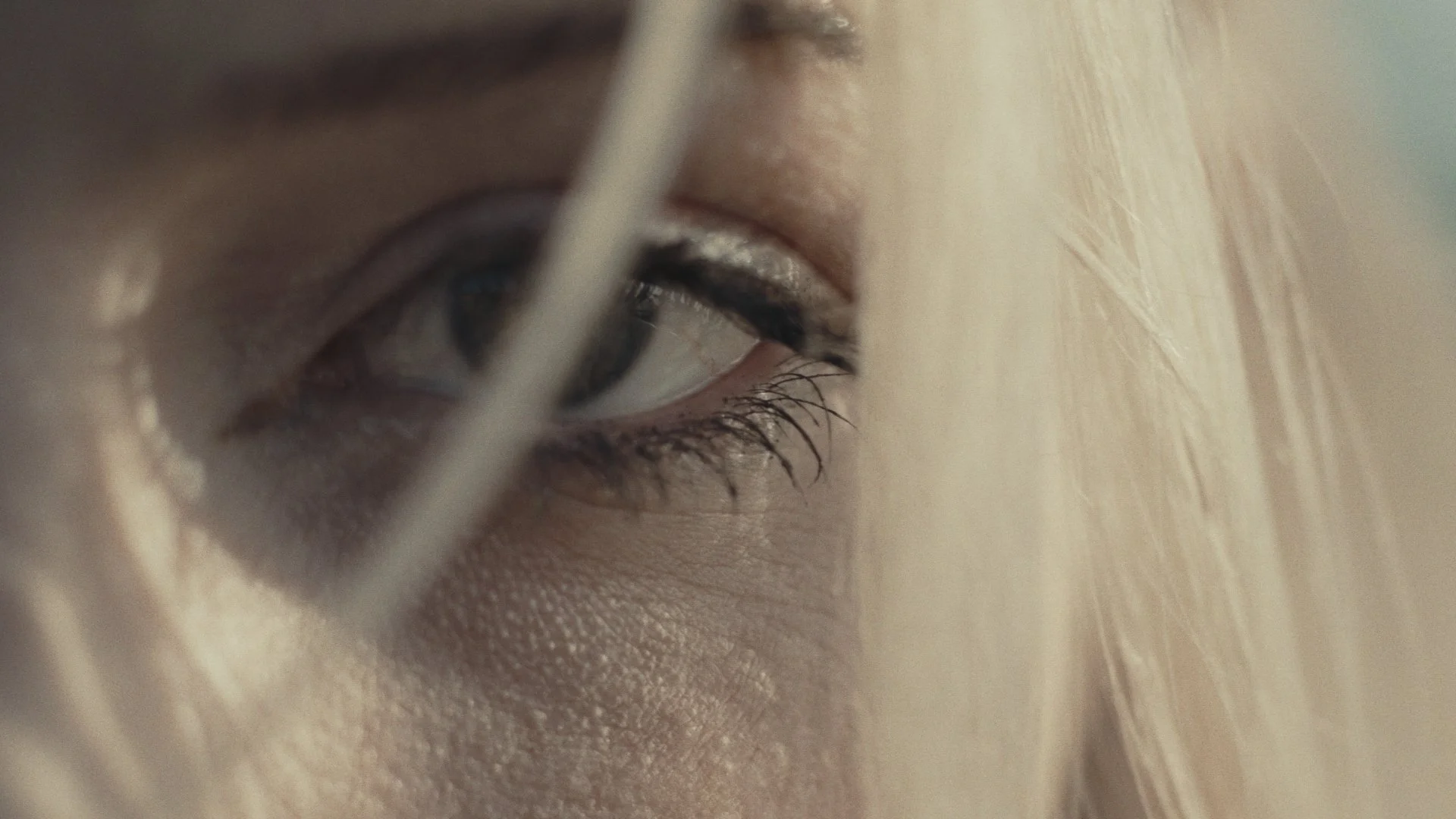 Still 2026-01-27 192429_1.31.1.jpg