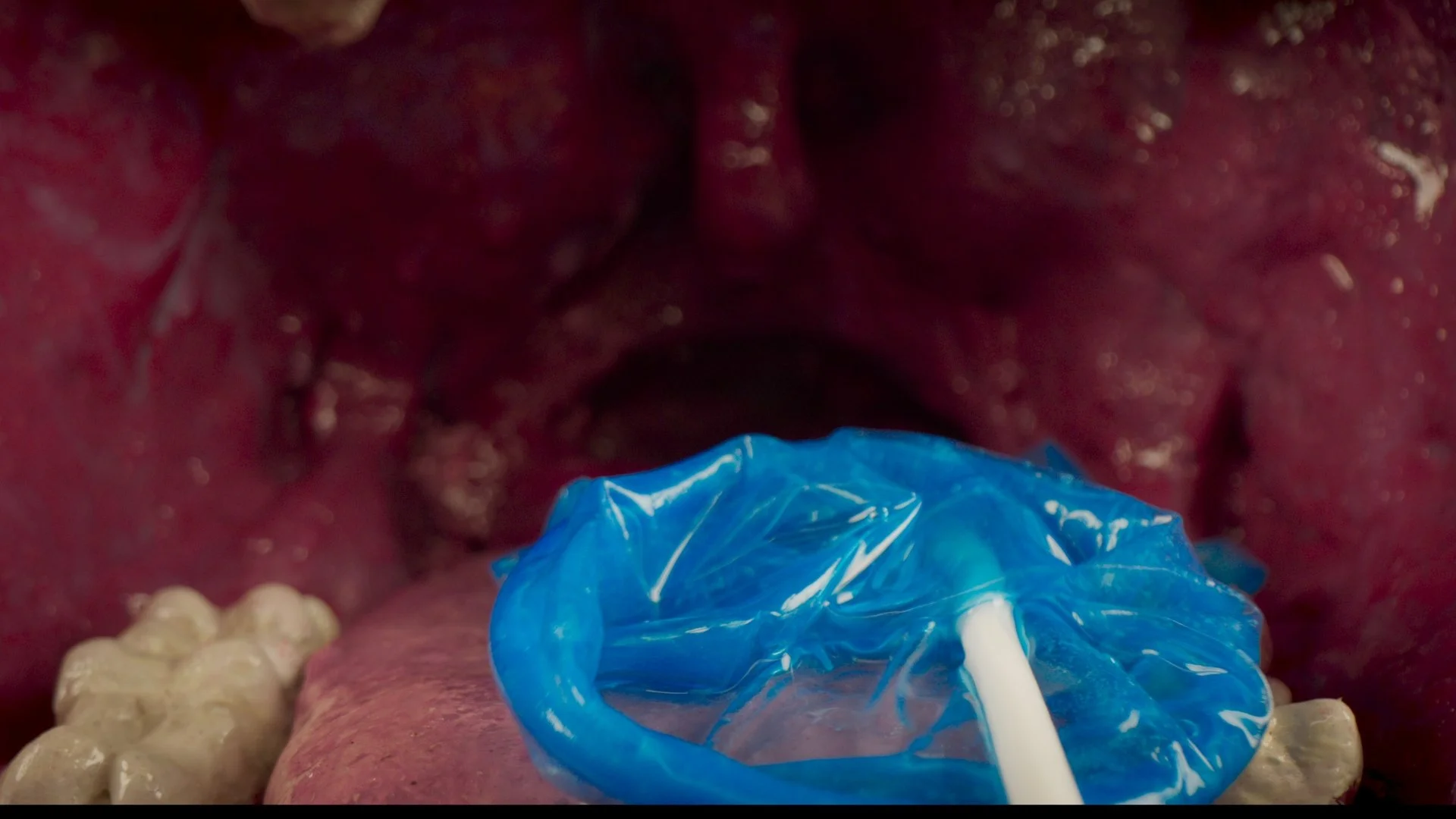 Still 2026-03-24 104902_1.1.7.jpg