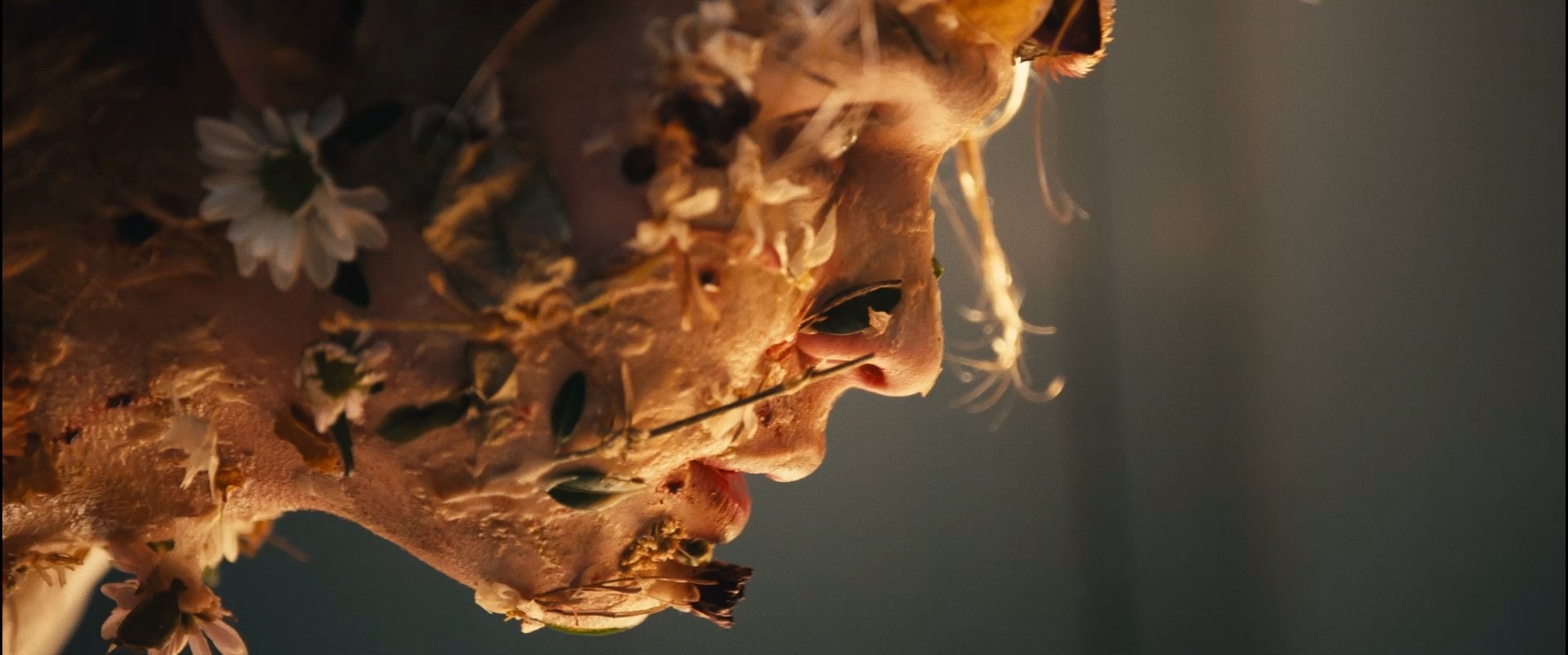 Still 2026-03-24 101615_1.1.5.jpg