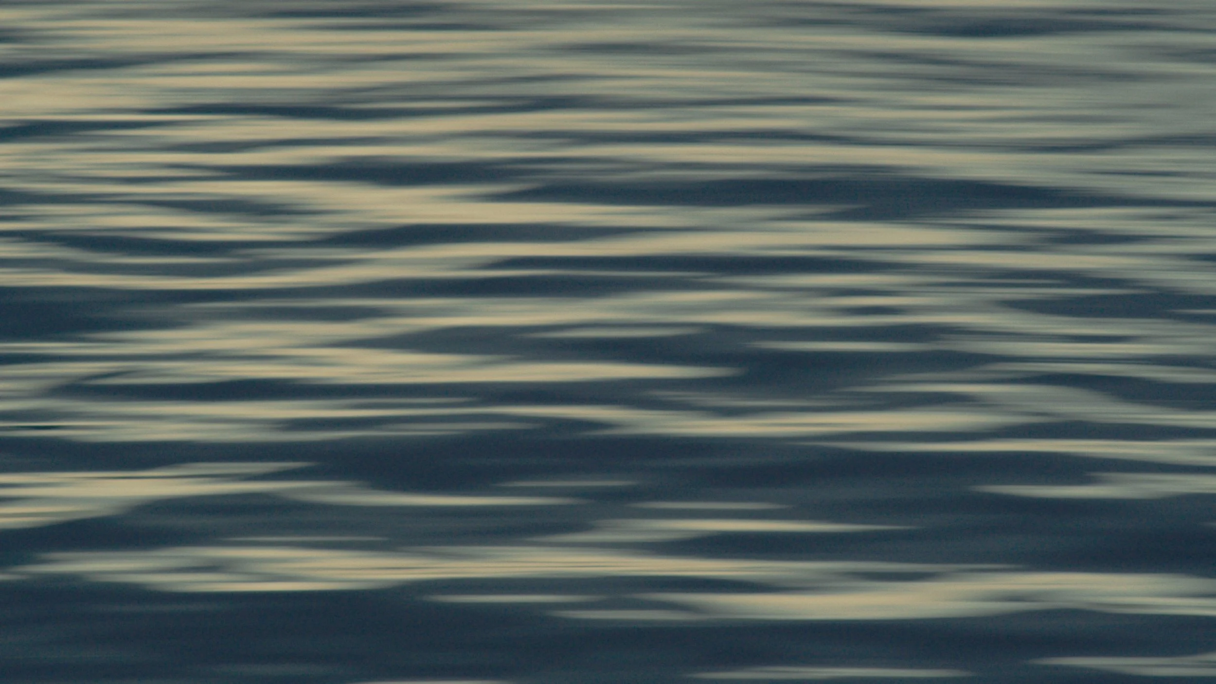 Still 2026-03-25 111413_1.76.1.jpg