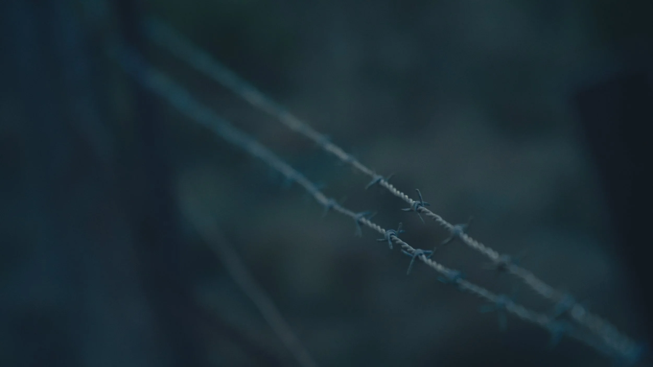 Still 2026-01-04 201437_2.1.1.jpg