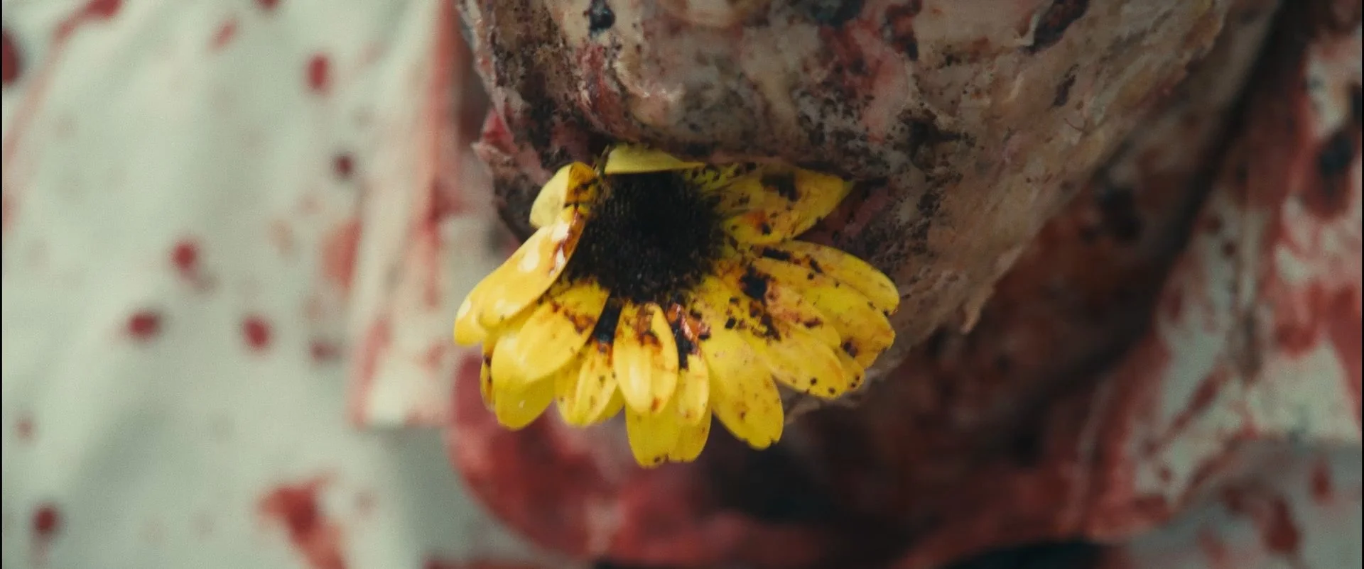 Still 2026-03-24 101615_1.1.8.jpg