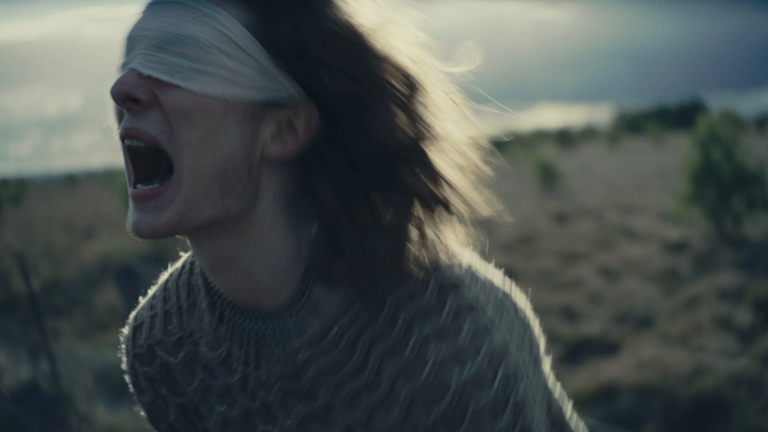 Still 2026-01-04 201437_1.1.4.jpg