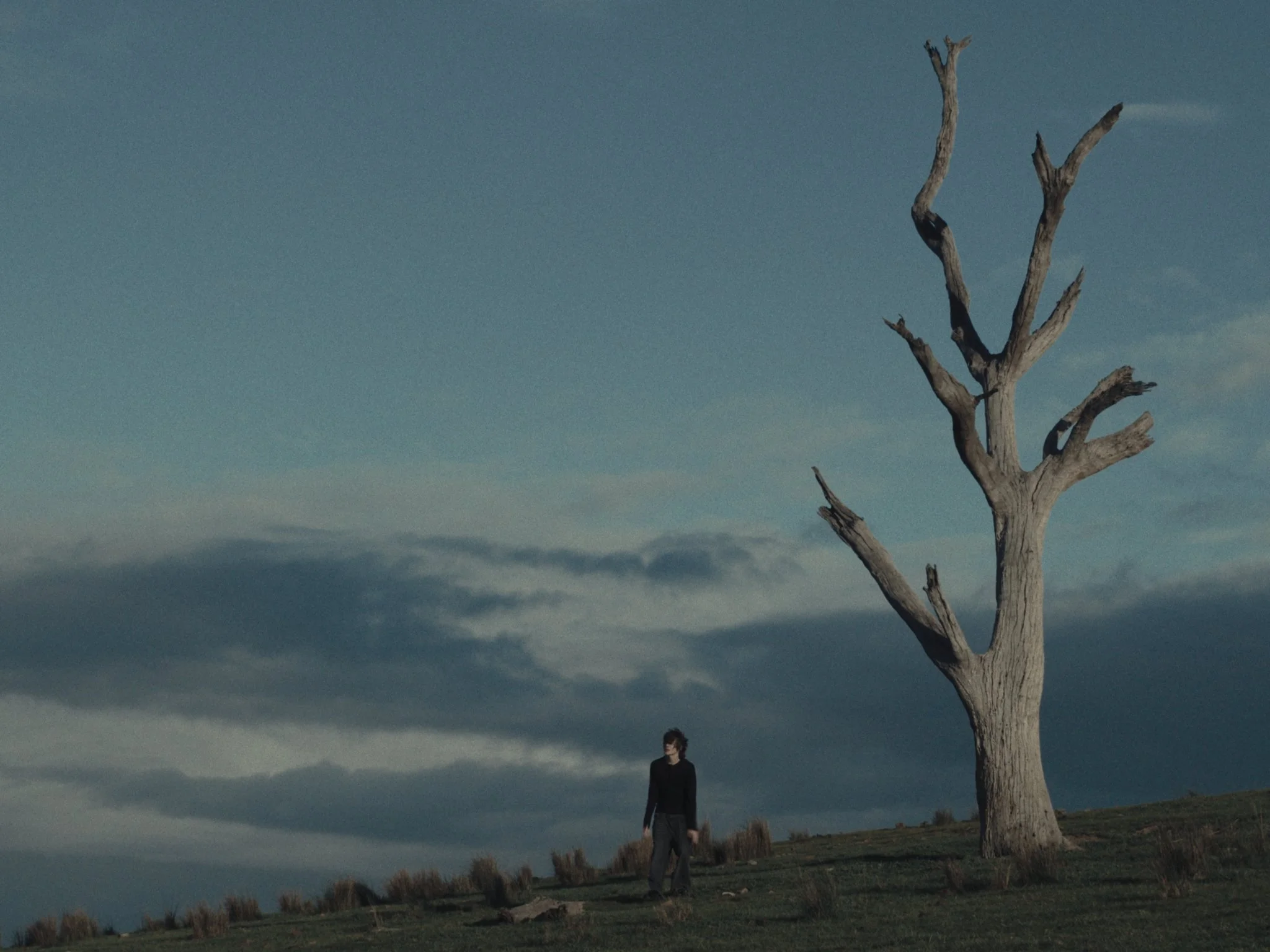 Still 2026-03-25 105119_2.18.1.jpg