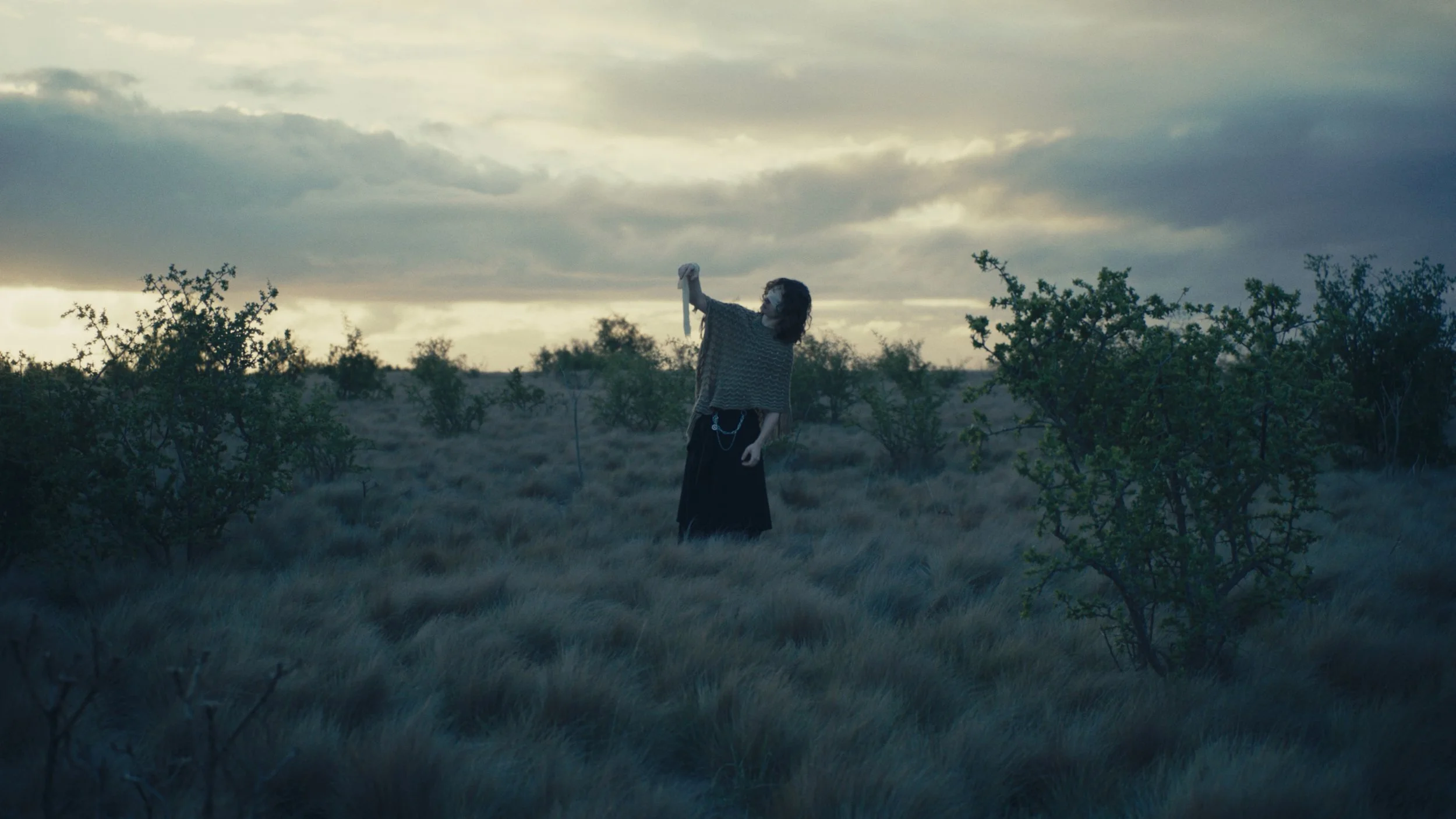 Still 2026-01-04 201437_2.4.1.jpg