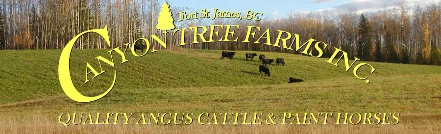 CANYON TREE FARMS INC.