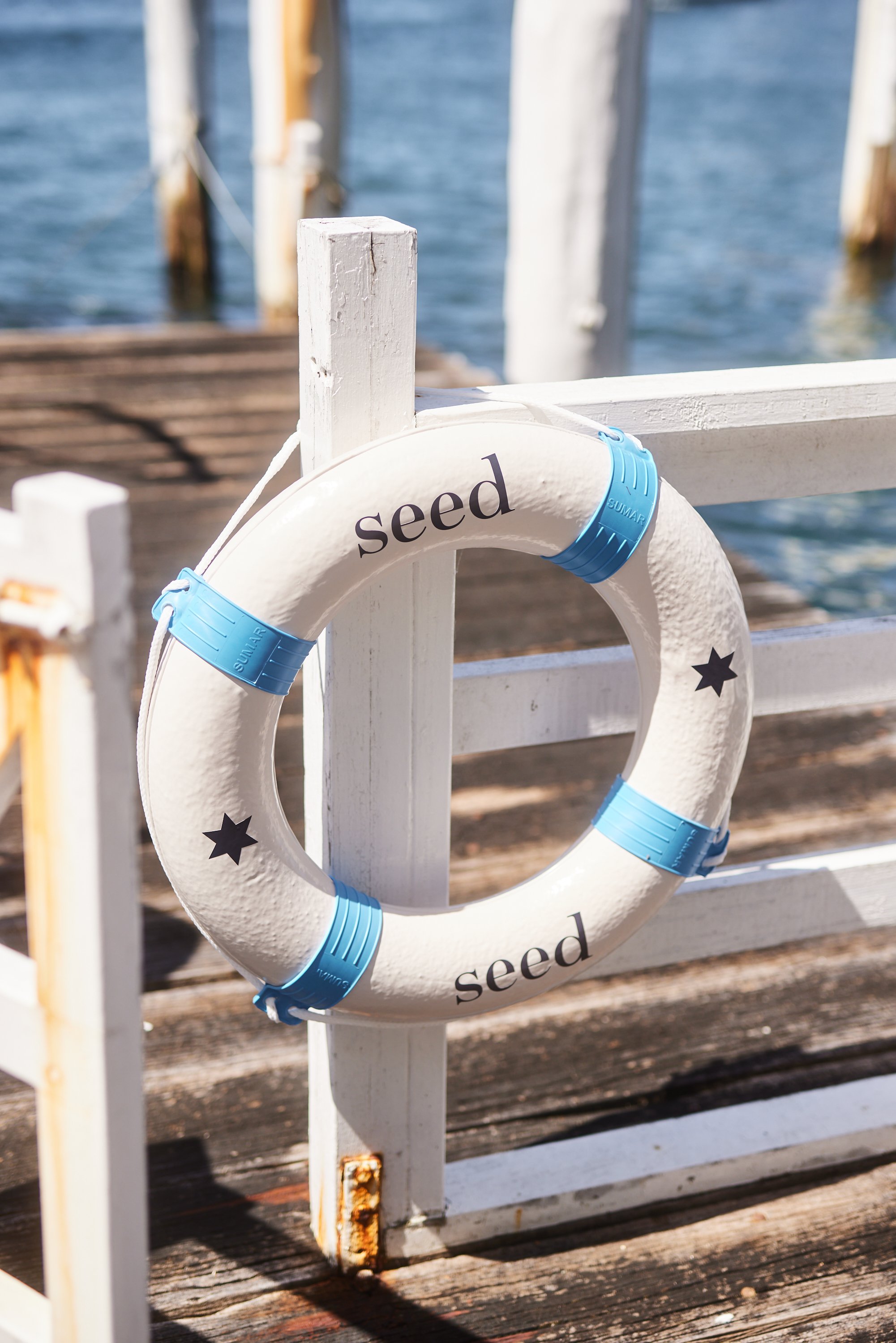 SeedByTheSea_HughDavies 1743.jpg