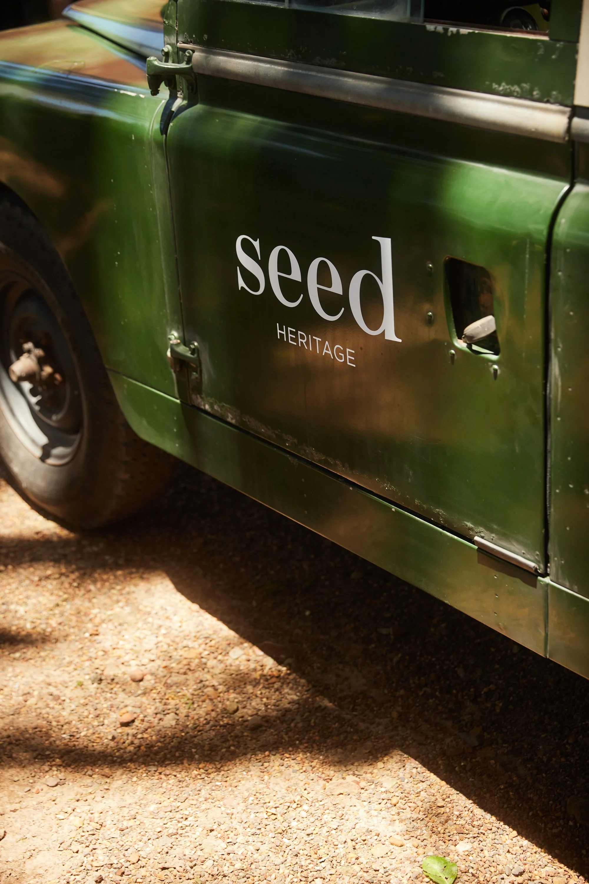 SeedByTheSea_HughDavies 719.jpg